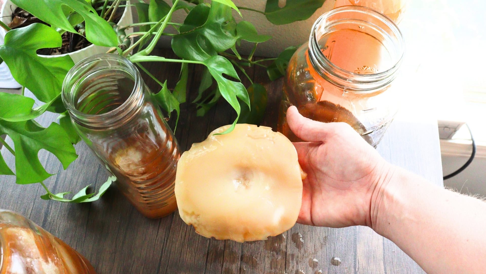 Image by Sustainable Jungle (how-to-flavor-kombucha)