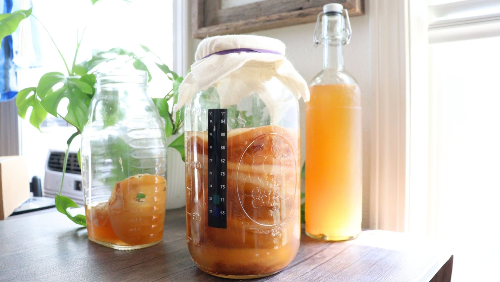 Image by Sustainable Jungle (how-to-flavor-kombucha)
