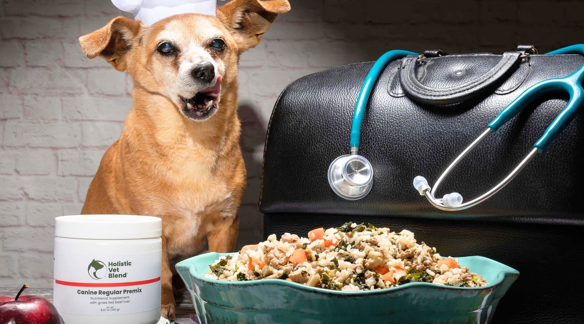 Image by The Kind Pet (sustainable-dog-food)