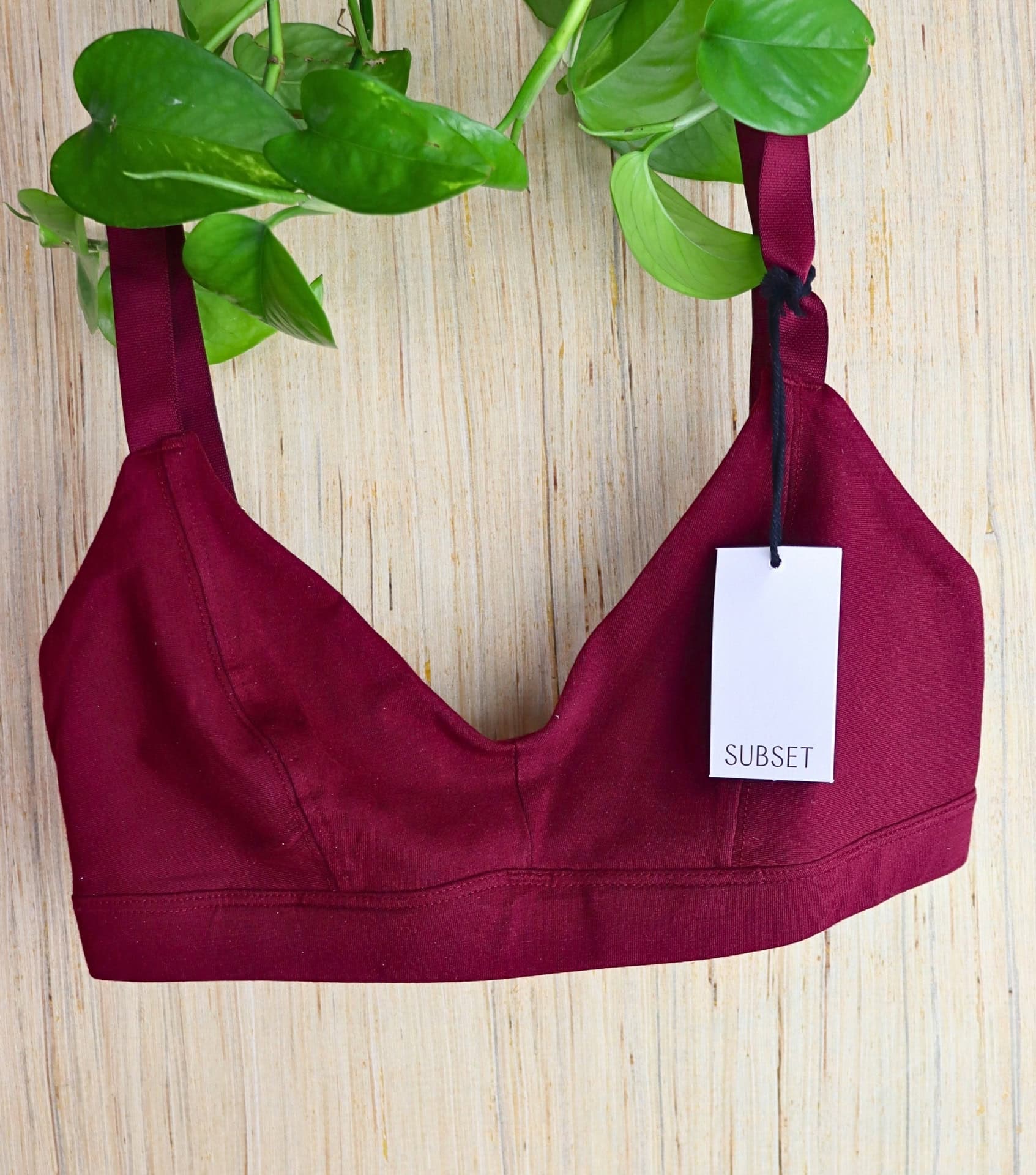Image by Sustainable Jungle (Subset) (Sustainable Bras 2024)