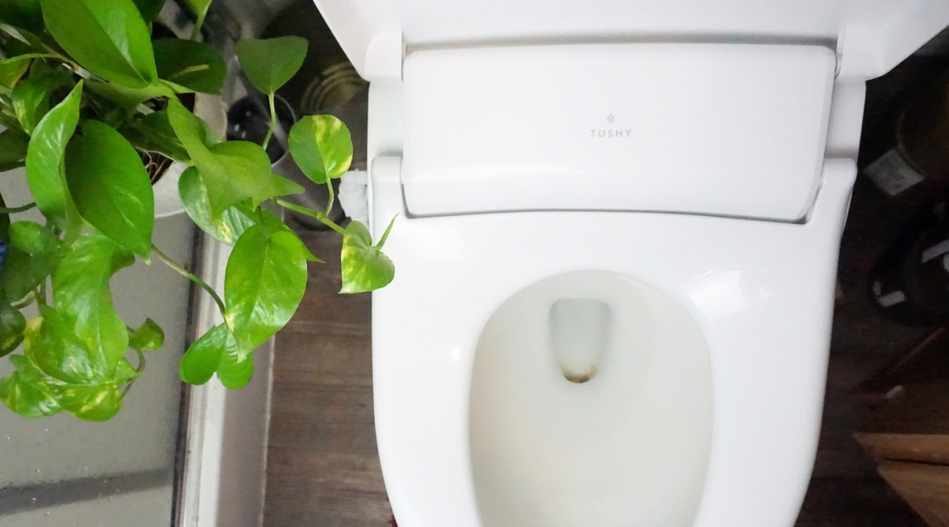 Image by Sustainable Jungle (Tushy) (zero-waste-bathroom)