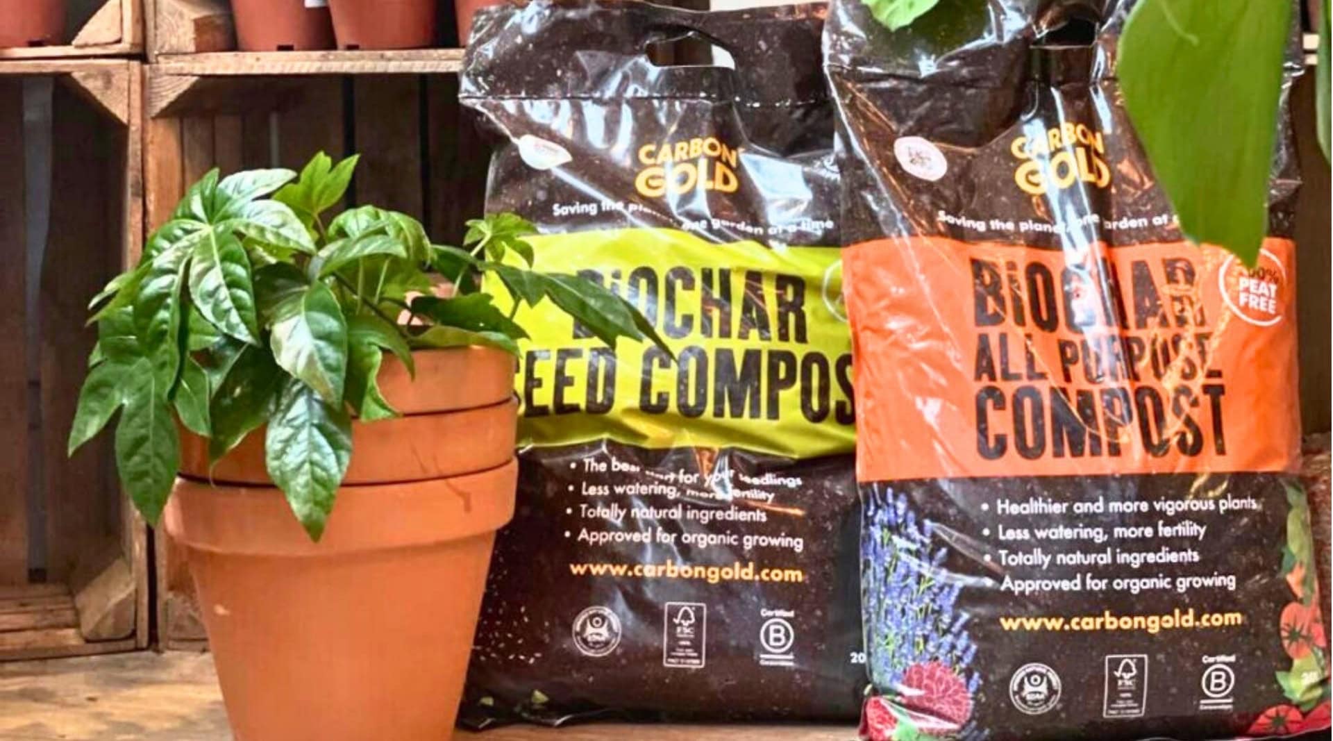 Image by Carbon Gold (peat-free-compost)
