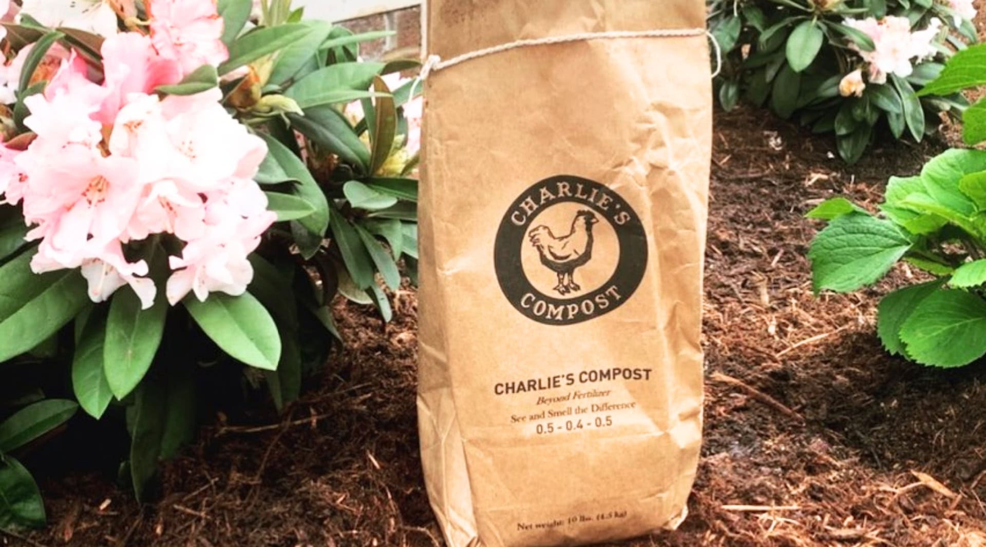 Image by Charlie’s Compost (peat-free-compost)