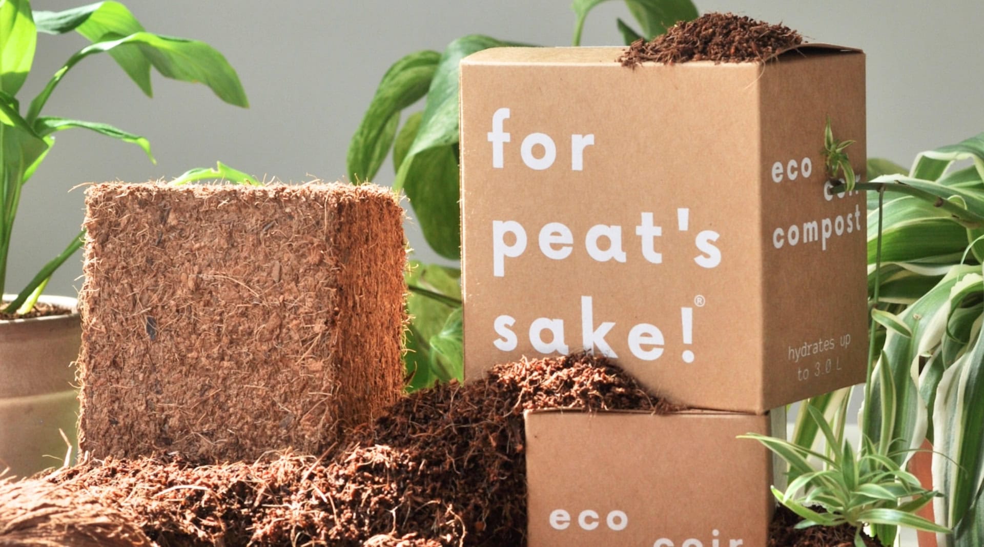 Image by For Peat’s Sake (peat-free-compost)