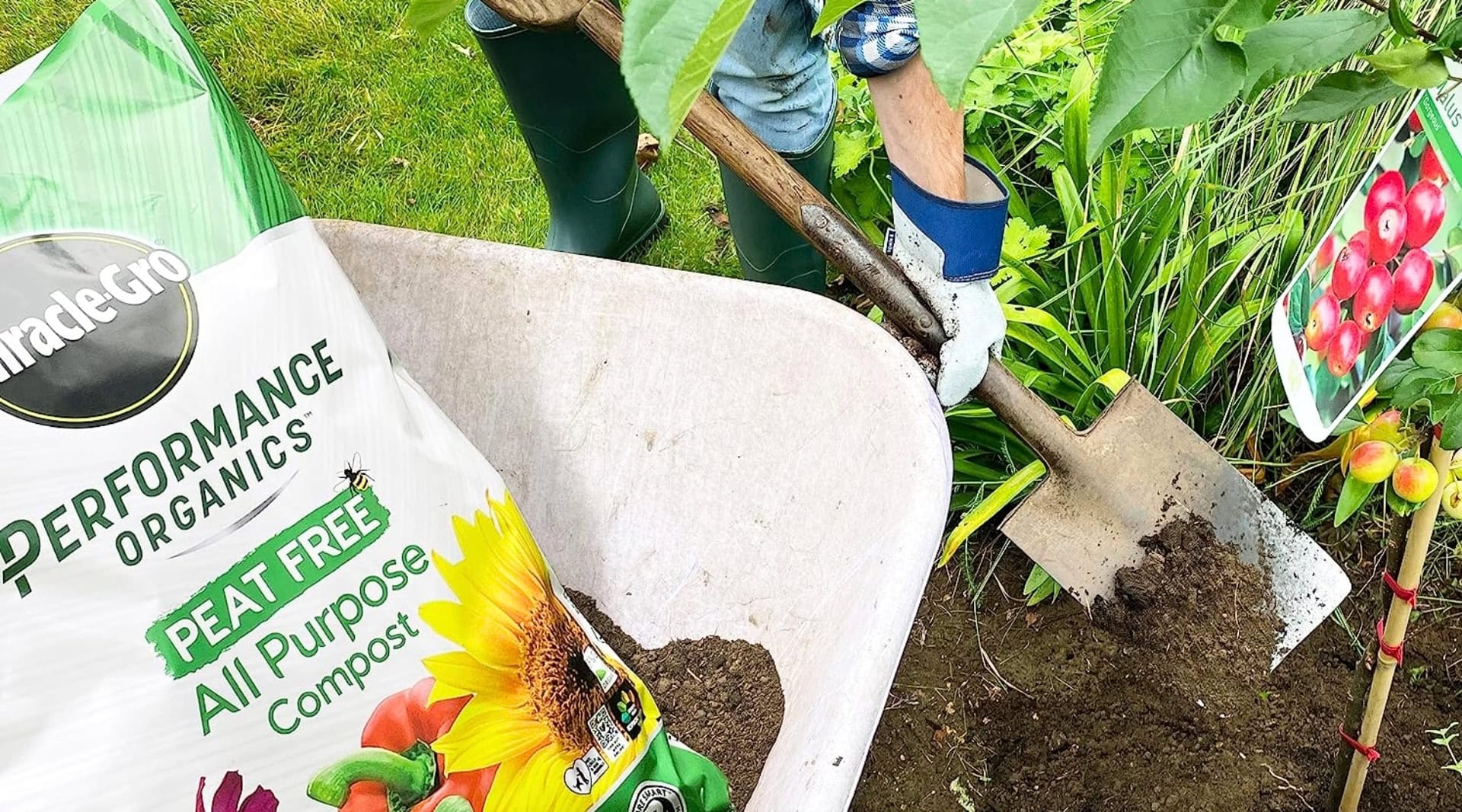 Image by Miracle Gro (peat-free-compost)