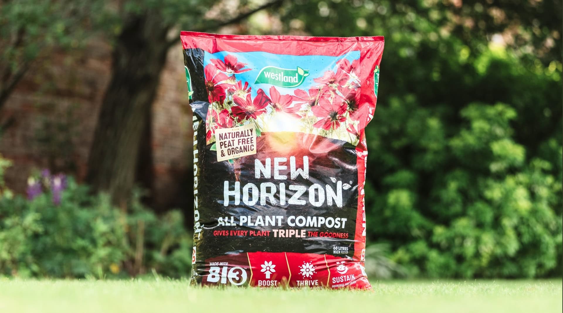 Image by New Horizon (peat-free-compost)