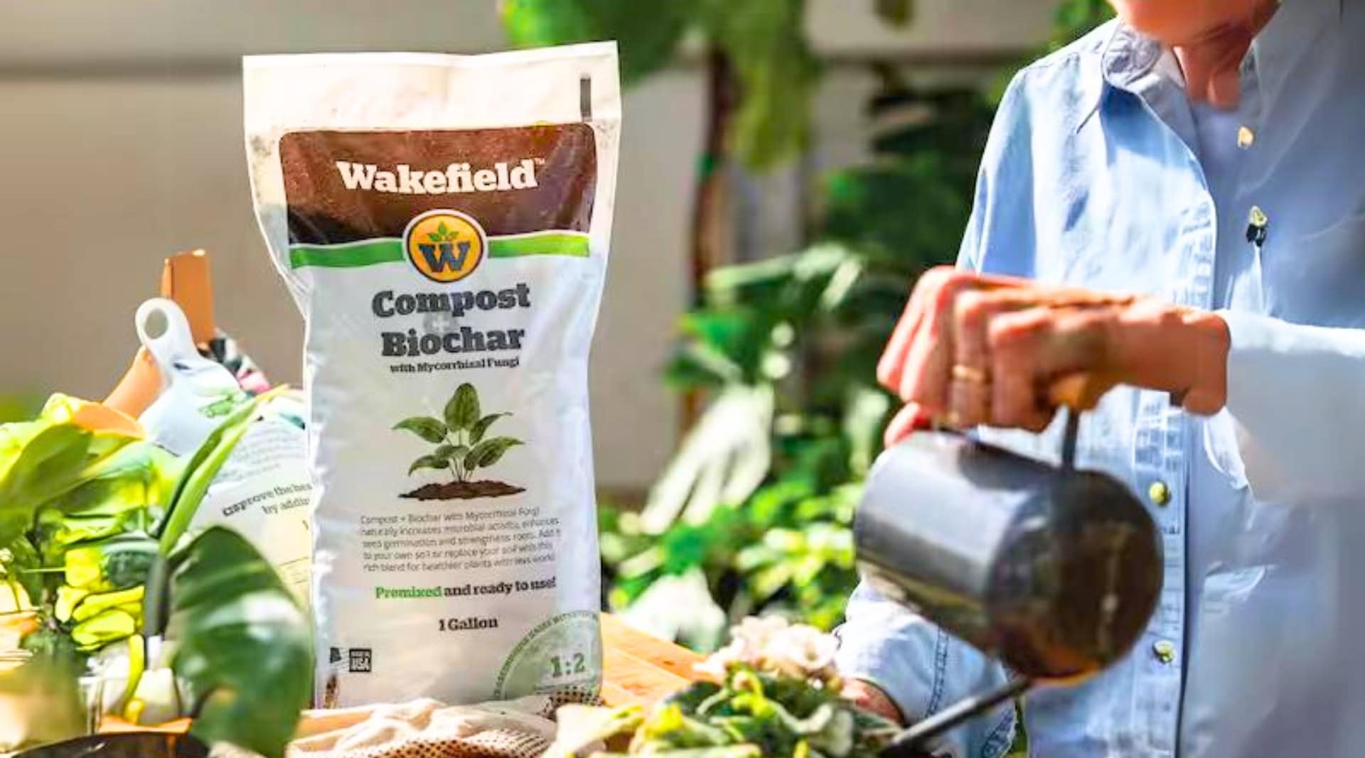 Image by Wakefield (peat-free-compost)