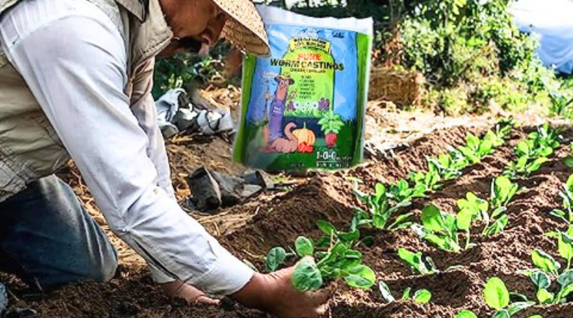 Image by Wiggle Worm (peat-free-compost)