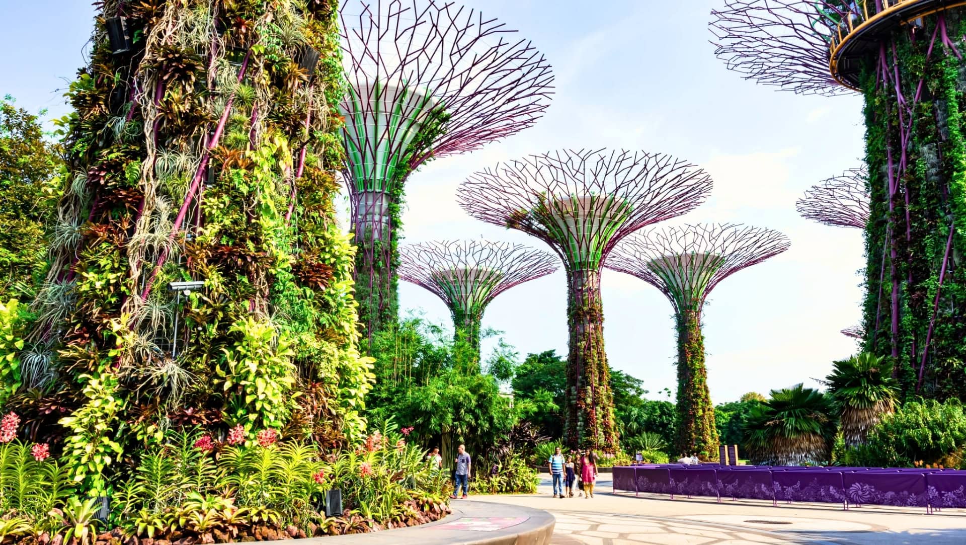 Image by Bill Roque's Images (greenest-citites-in-the-world)