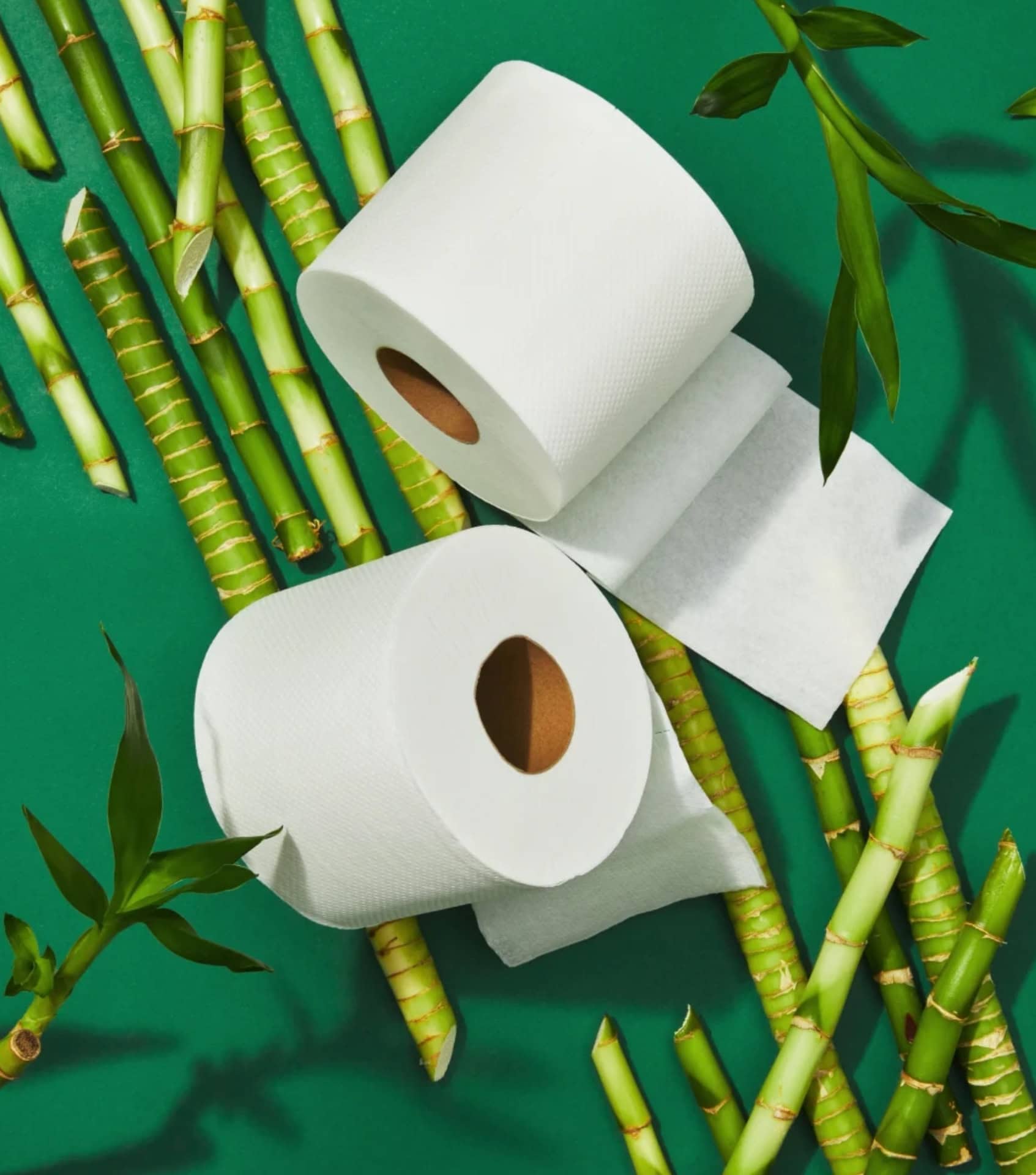Image by Grove Collaborative (zero-waste-toilet-paper) (2)