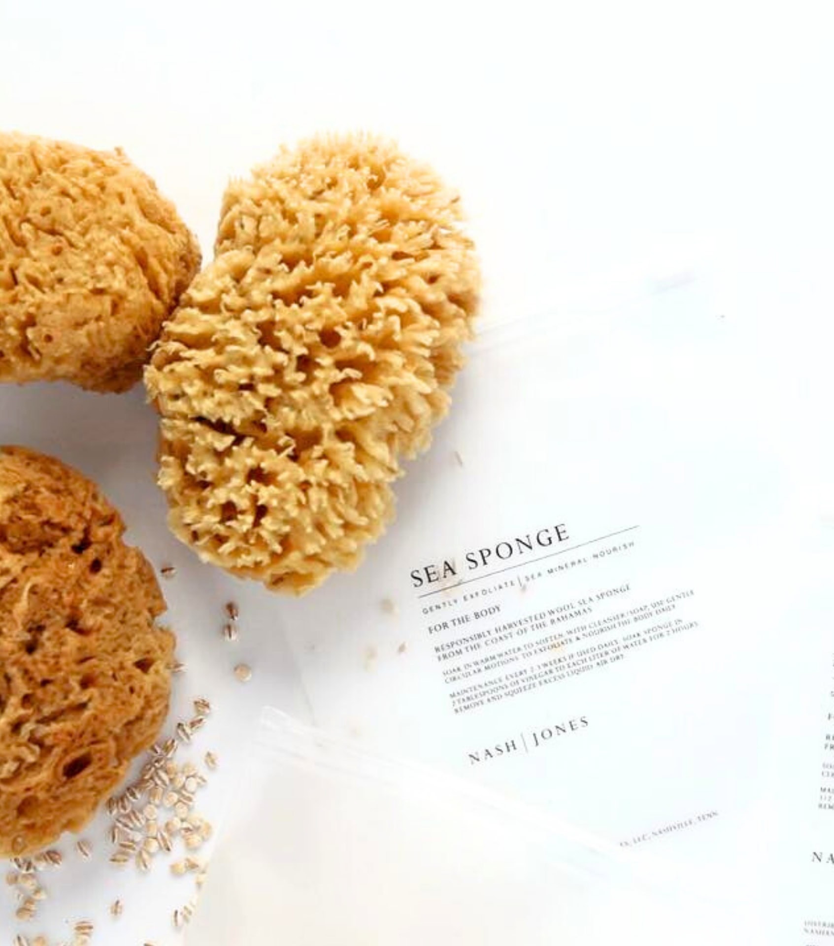 Image by Nash and Jones (eco-friendly-sponges)