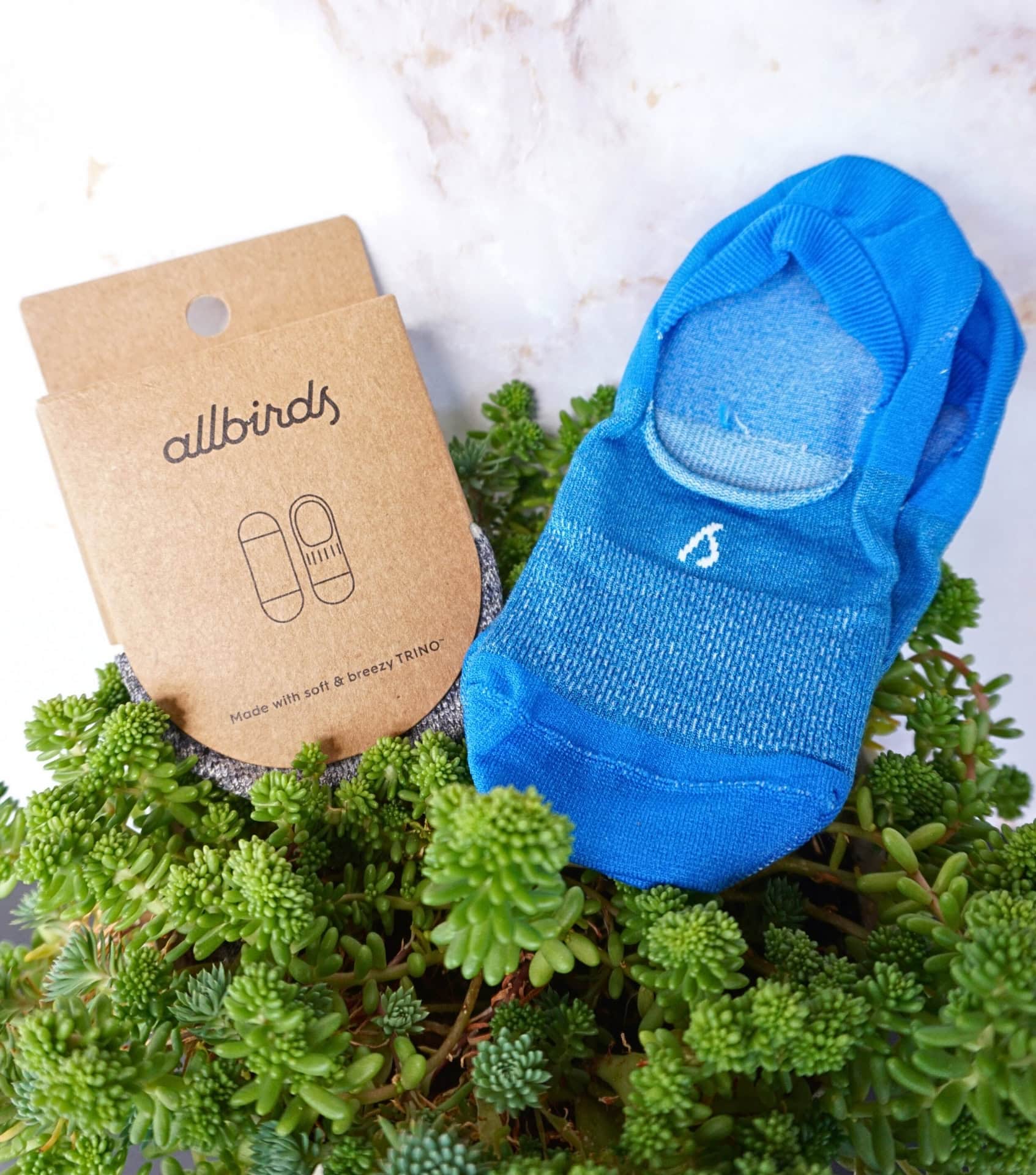 Image by Sustainable Jungle (Allbirds) (sustainable-socks)