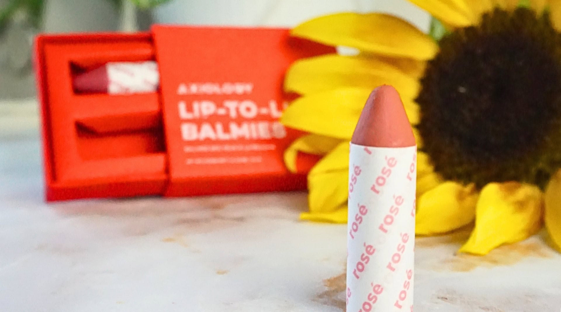 Image by Sustainable Jungle (Axiology) (sustainable-lipsticks)