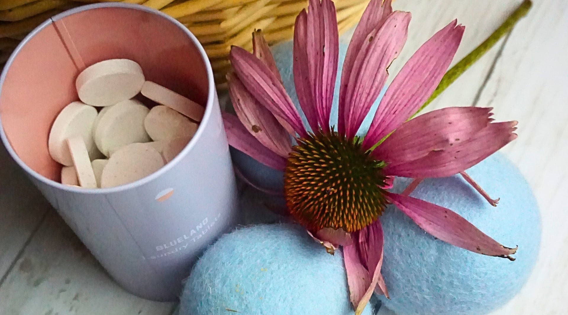 Image by Sustainable Jungle (Blueland) (zero-waste-laundry-detergent)