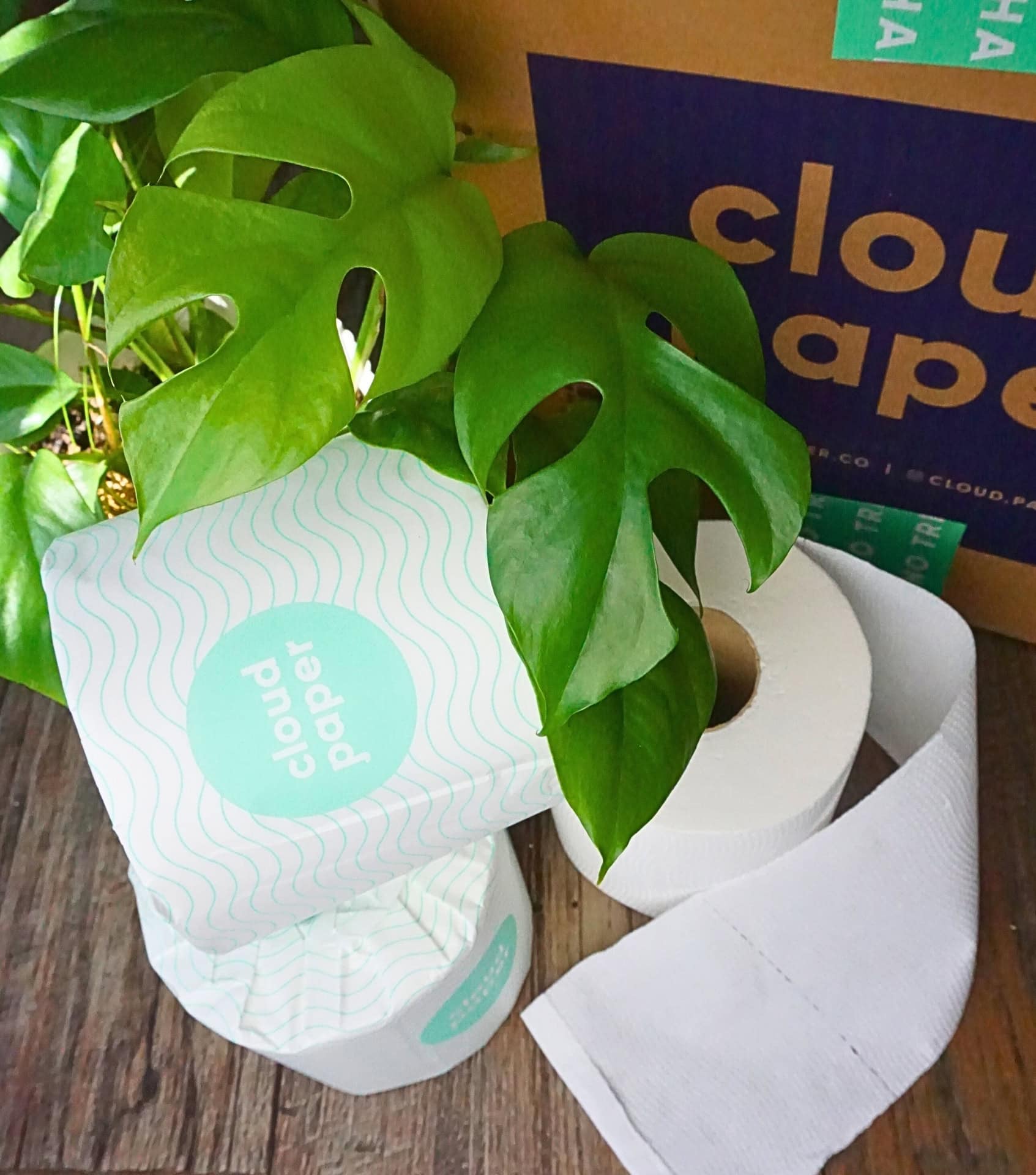 Image by Sustainable Jungle (Cloud Paper) (zero-waste-toilet-paper) (2)