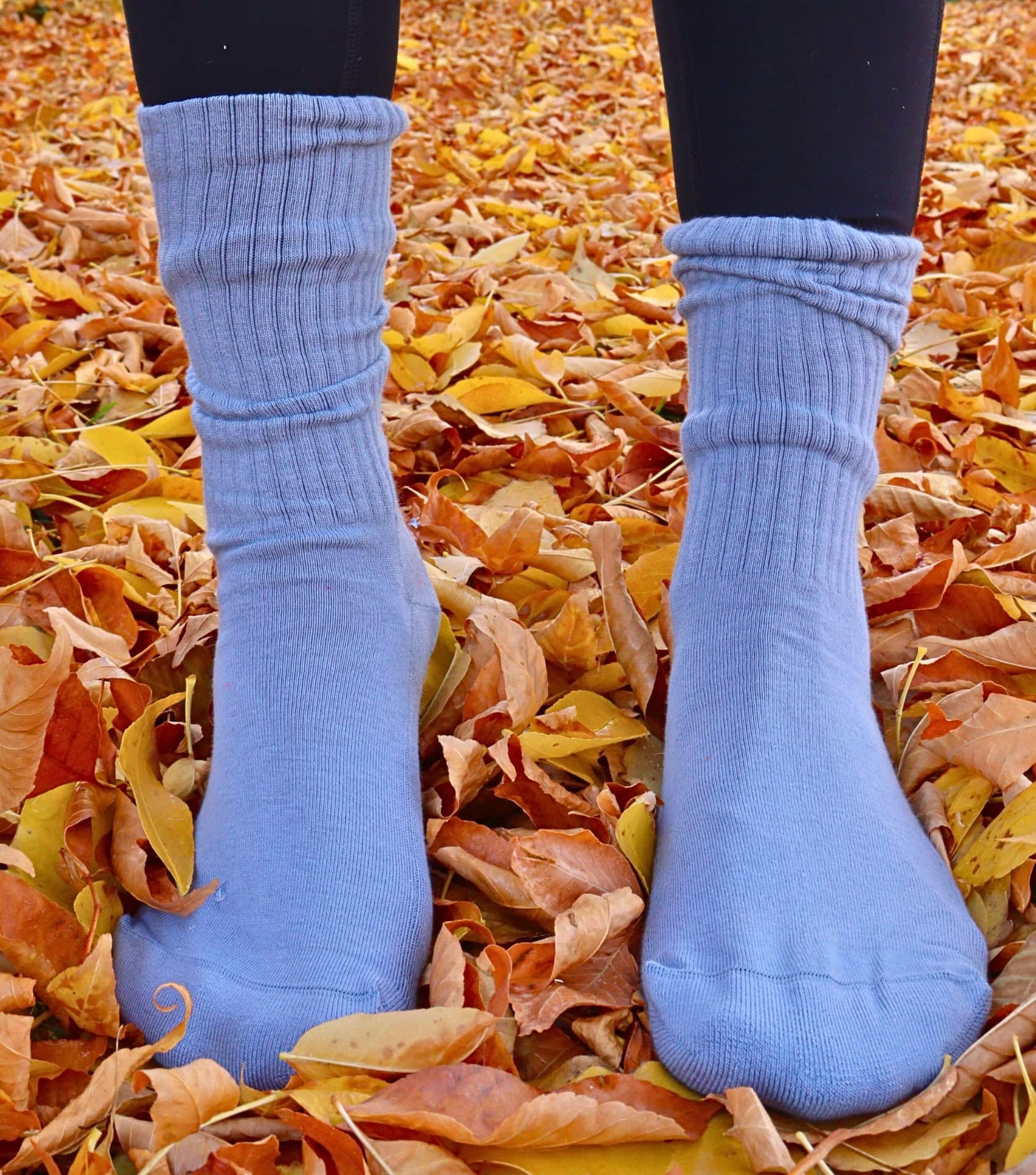 Image by Sustainable Jungle (Colorful Standard) (sustainable-socks)