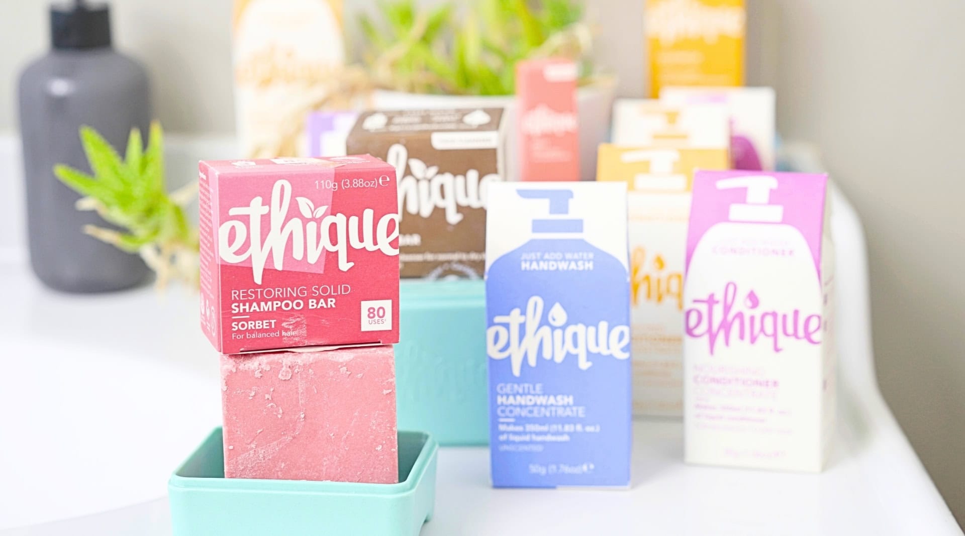 Image by Sustainable Jungle (Ethique) (plastic-free-shampoo-conditioner)