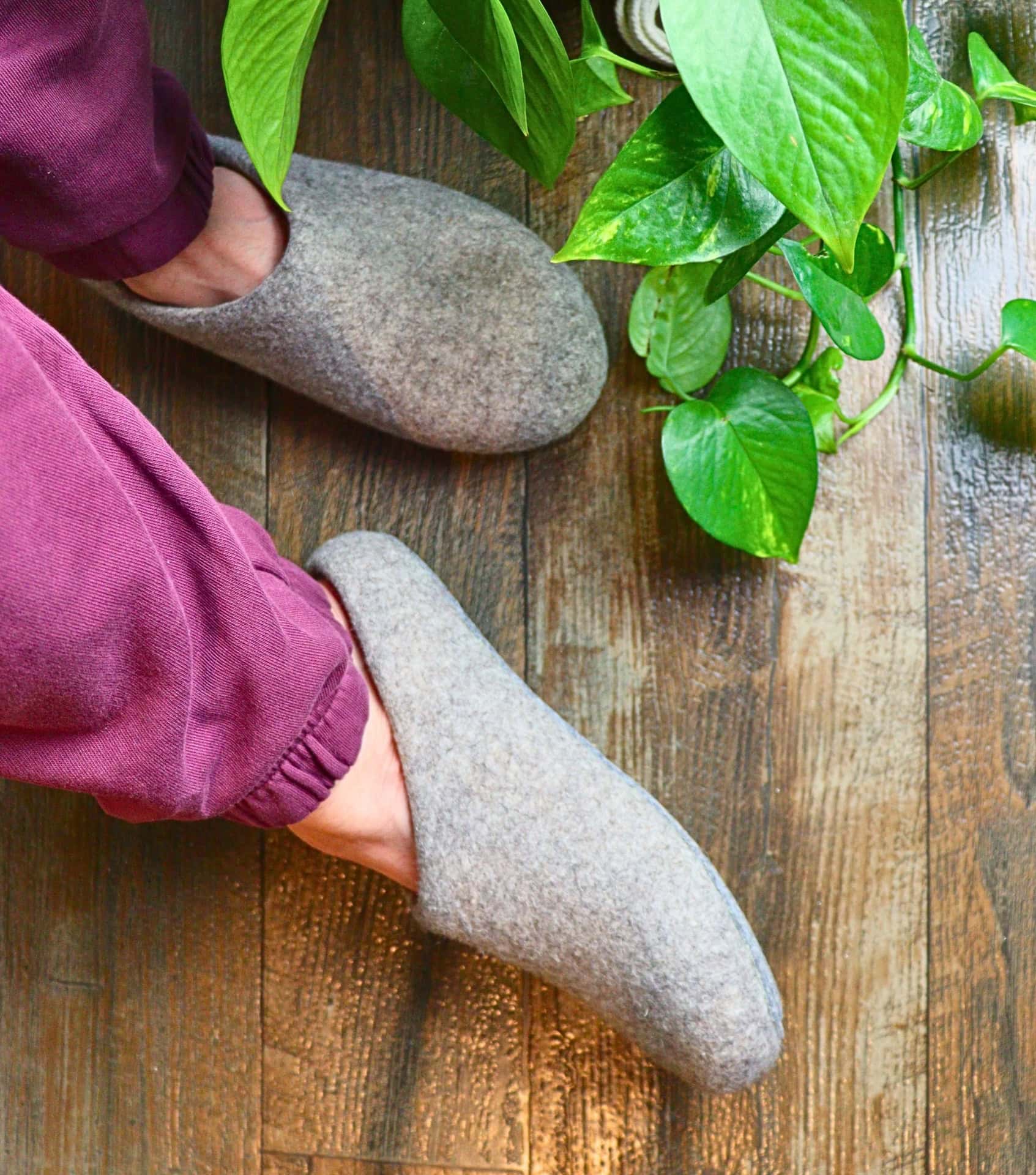 Image by Sustainable Jungle (Kyrgies) (sustainable-slippers) (2)