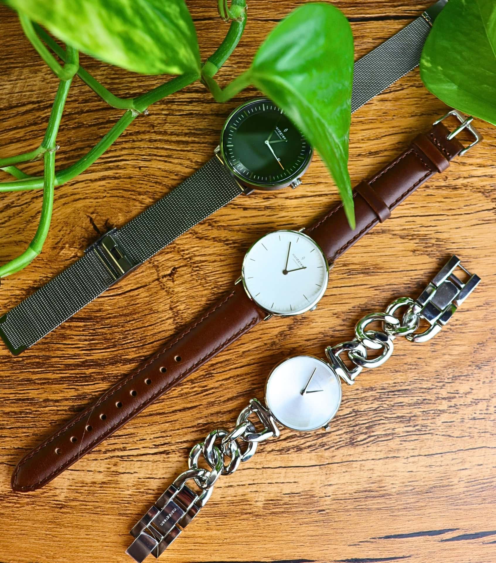 Image by Sustainable Jungle (Nordgreen) (sustainable-watches) (2)
