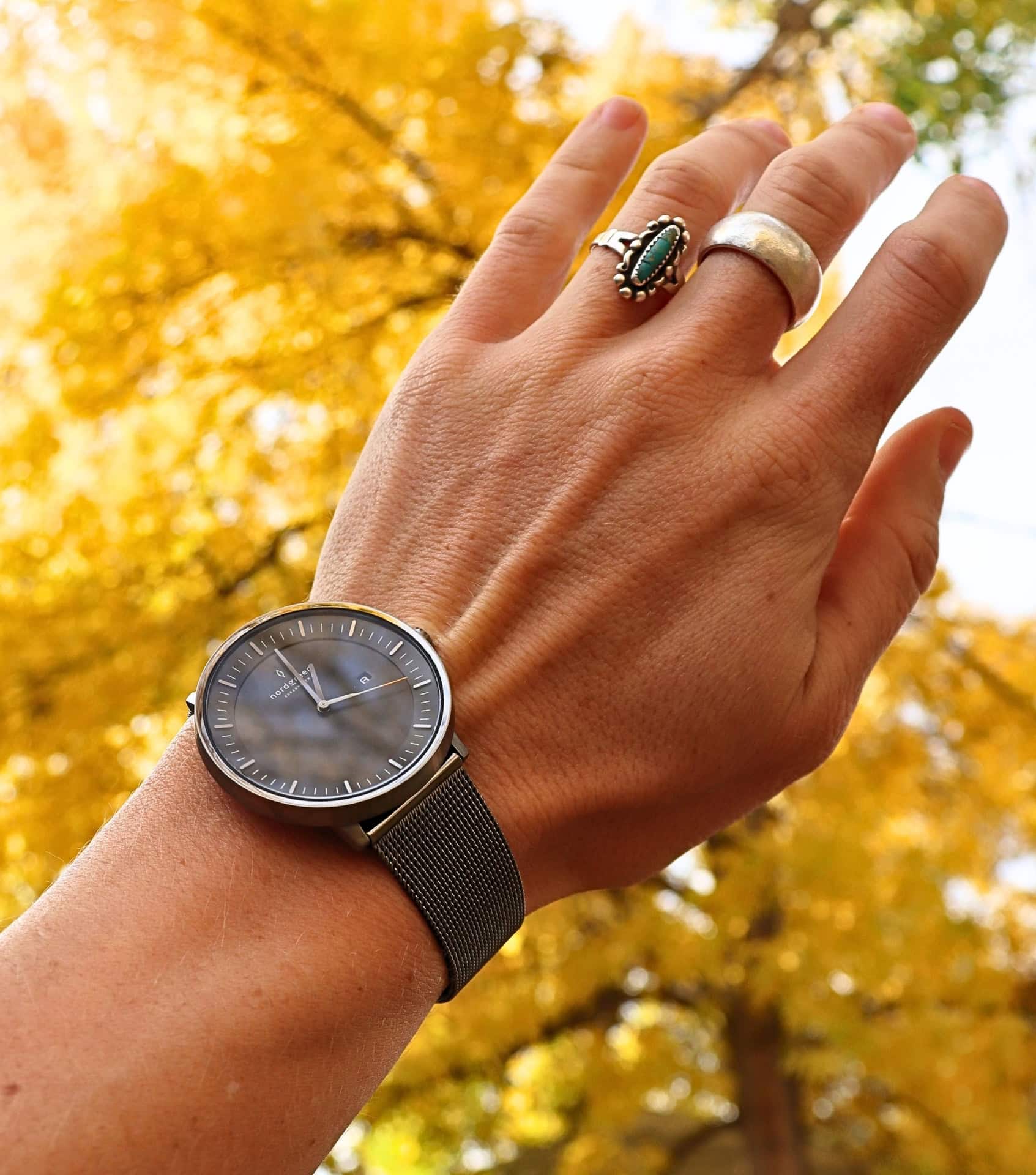 Image by Sustainable Jungle (Nordgreen) (sustainable-watches)