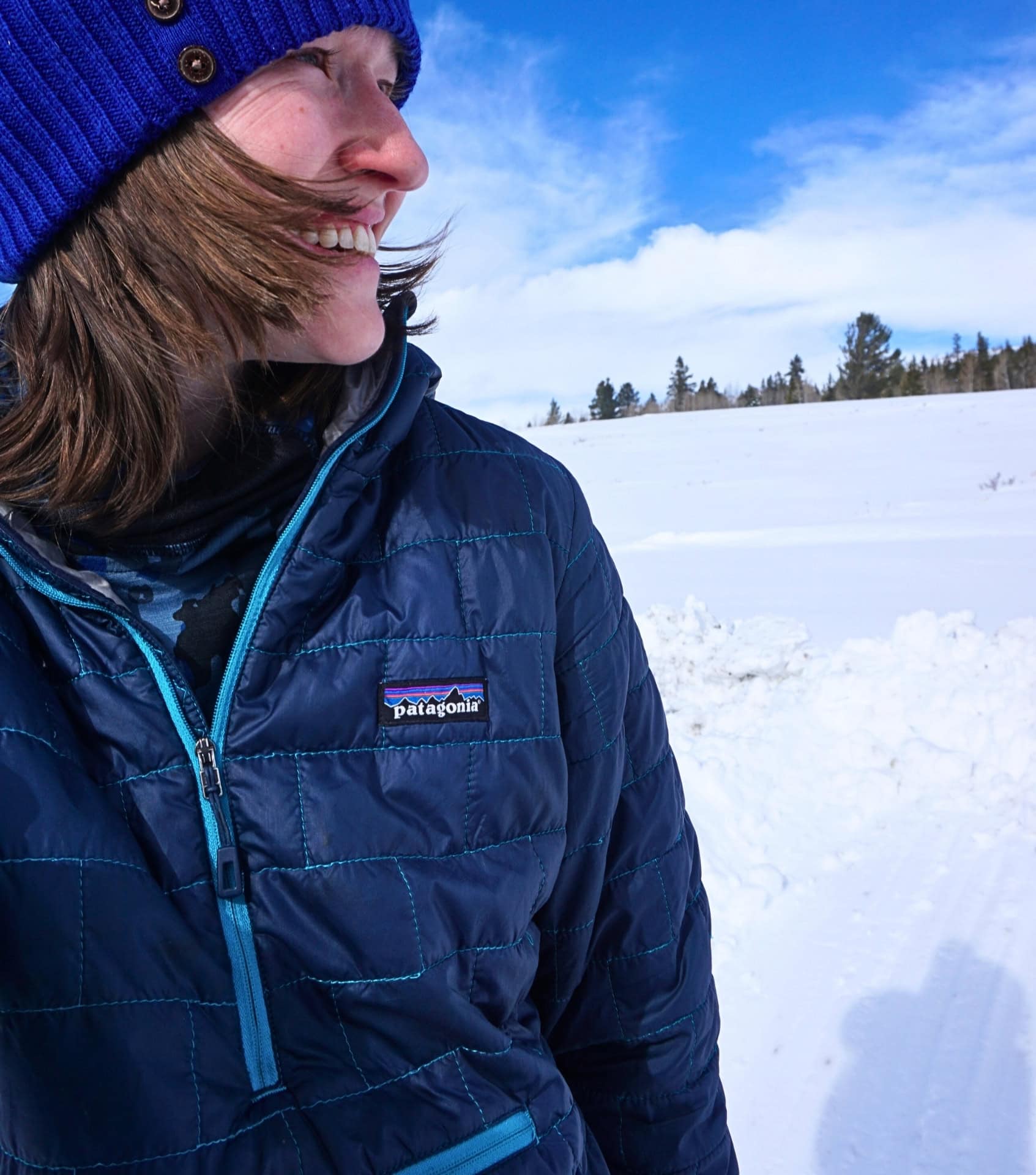 Image by Sustainable Jungle (Patagonia) (sustainable-jackets)