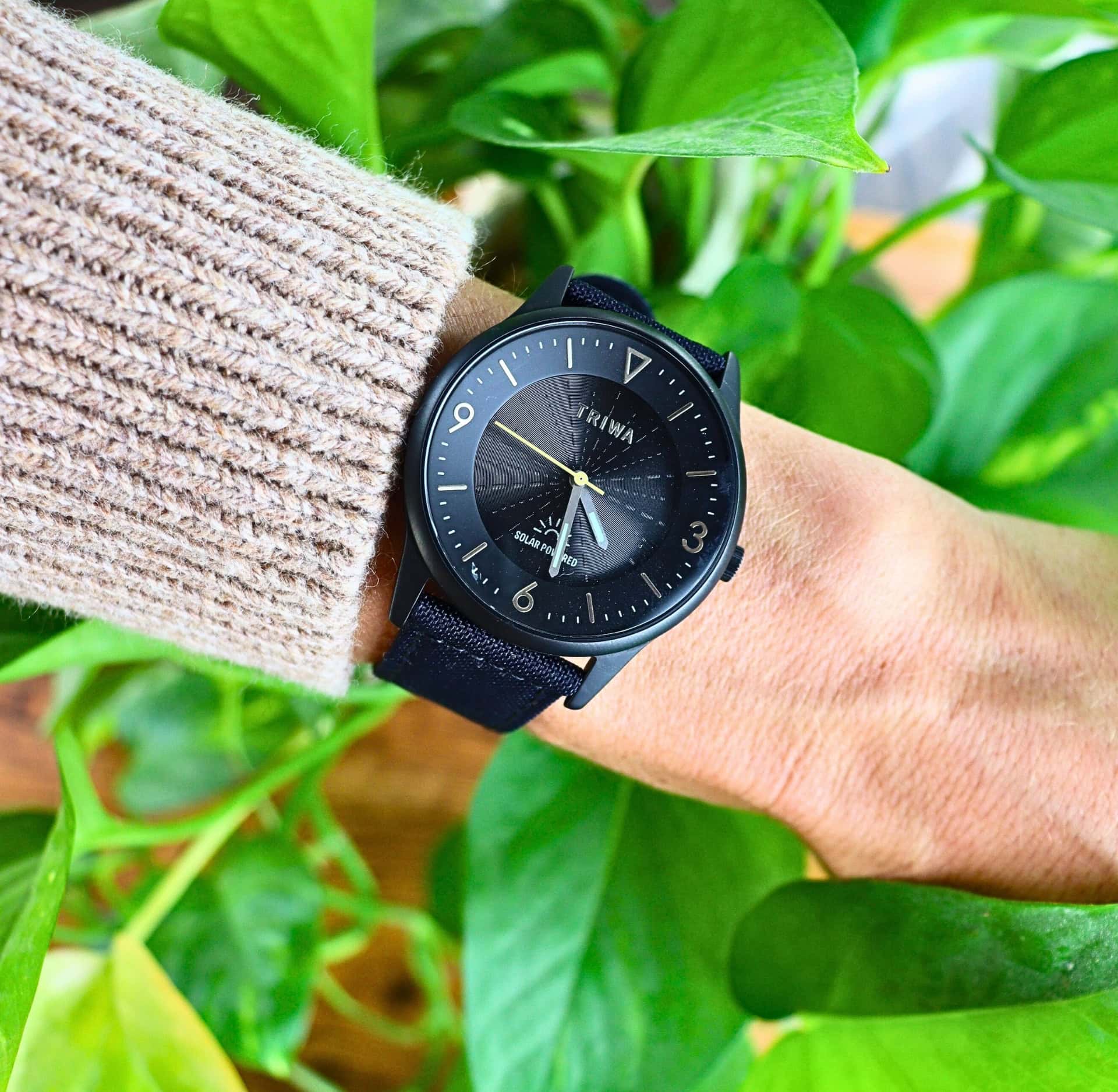 Image by Sustainable Jungle (TRIWA) (sustainable-watches)