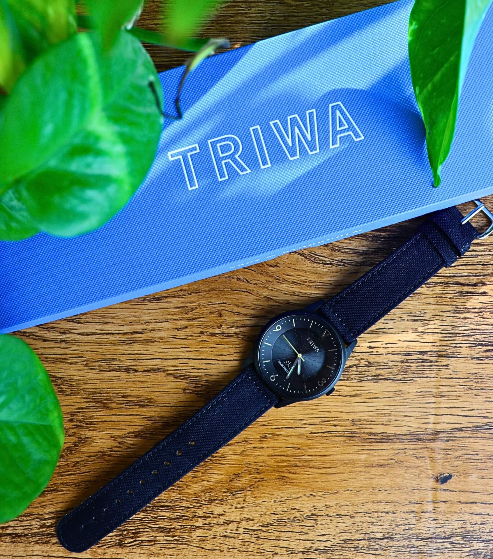 Image by Sustainable Jungle (TRIWA) (sustainable-watches)