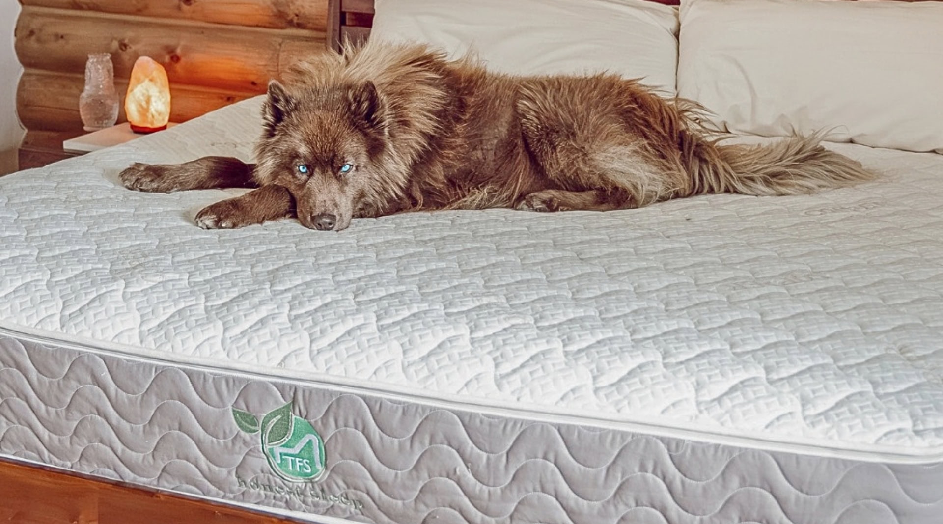 Image by TFS Natural Home (sustainable-mattresses)