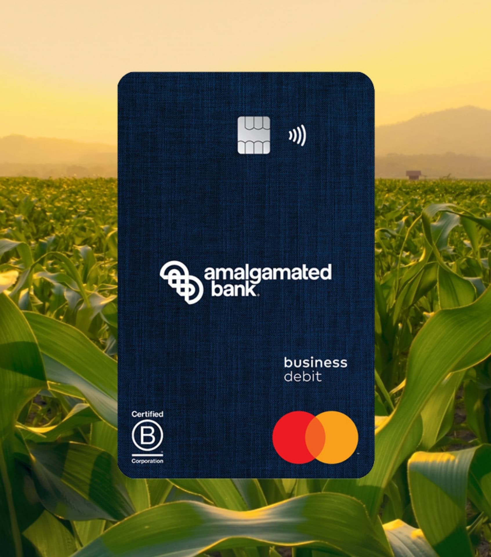 Image by Amalgamated Bank (ethical-credit-cards) (2)