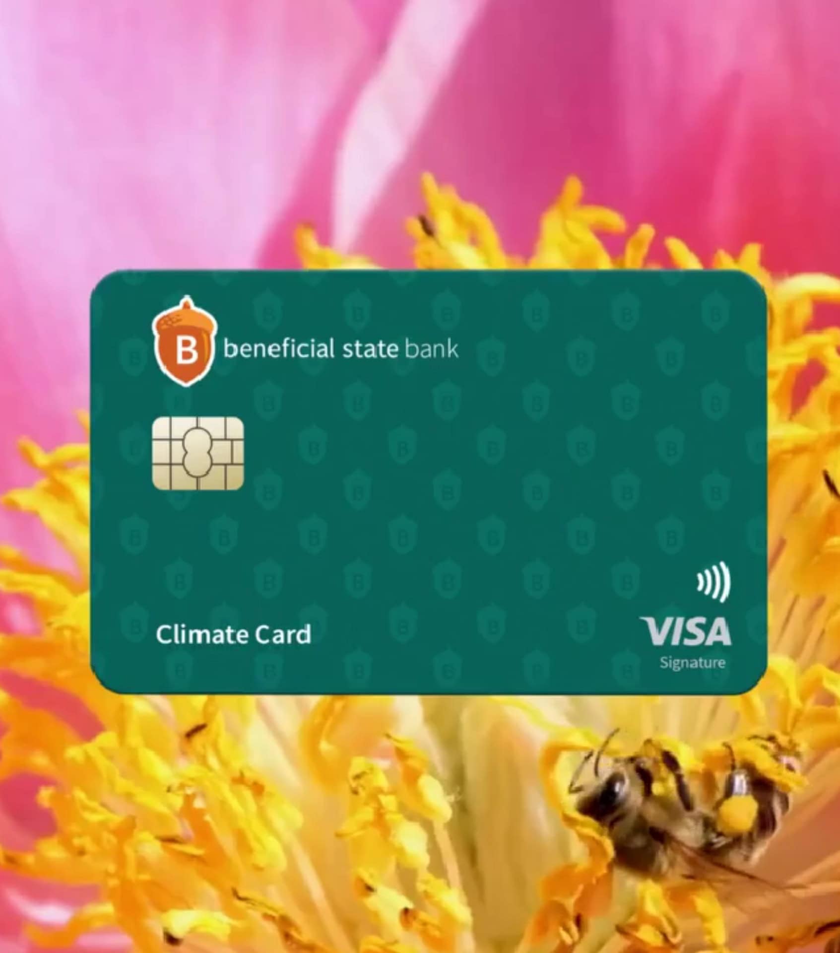Image by Beneficial State Bank (ethical-credit-cards) (2)