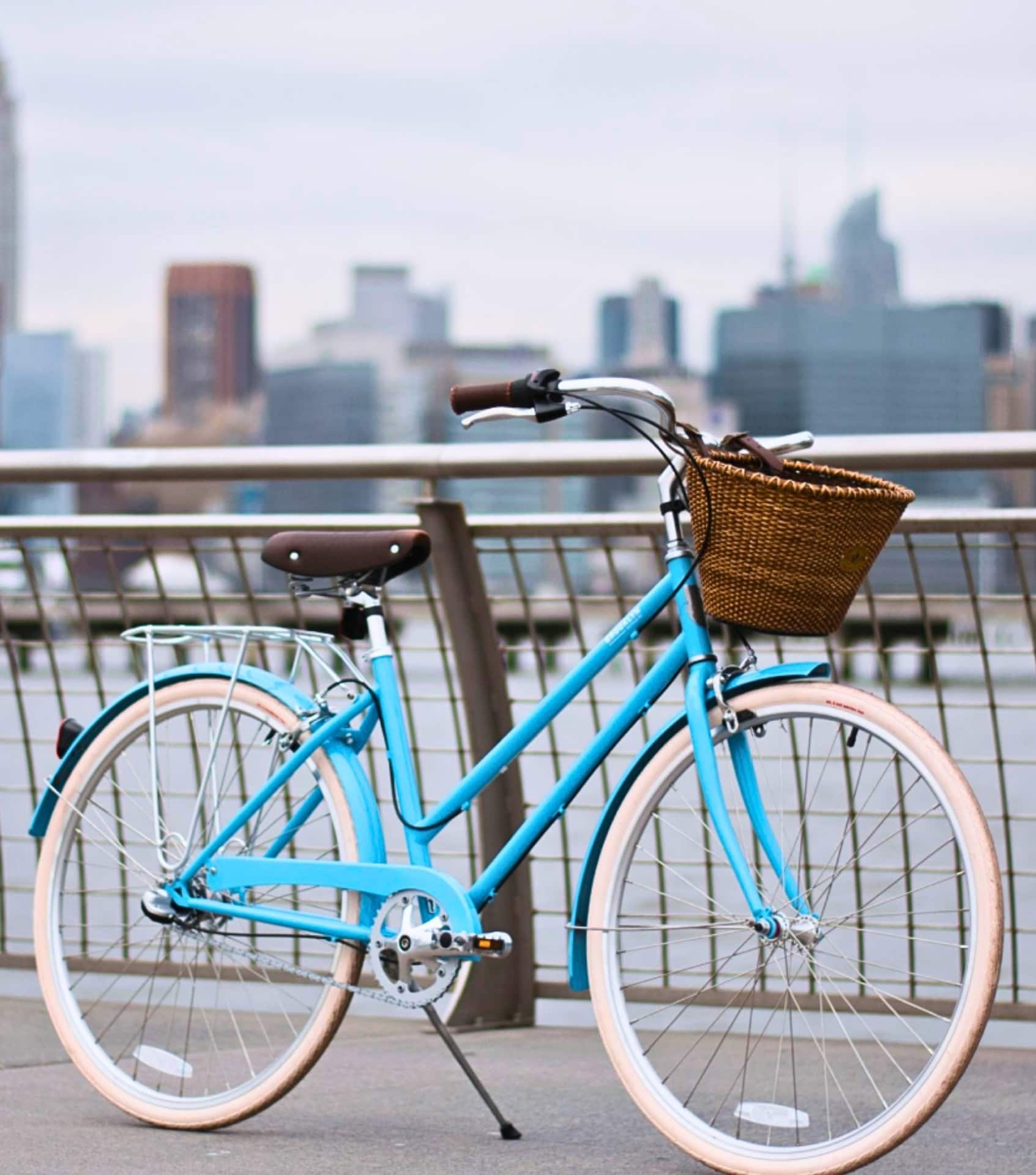 Image by Brooklyn Bicycle Co (eco-friendly-bikes)