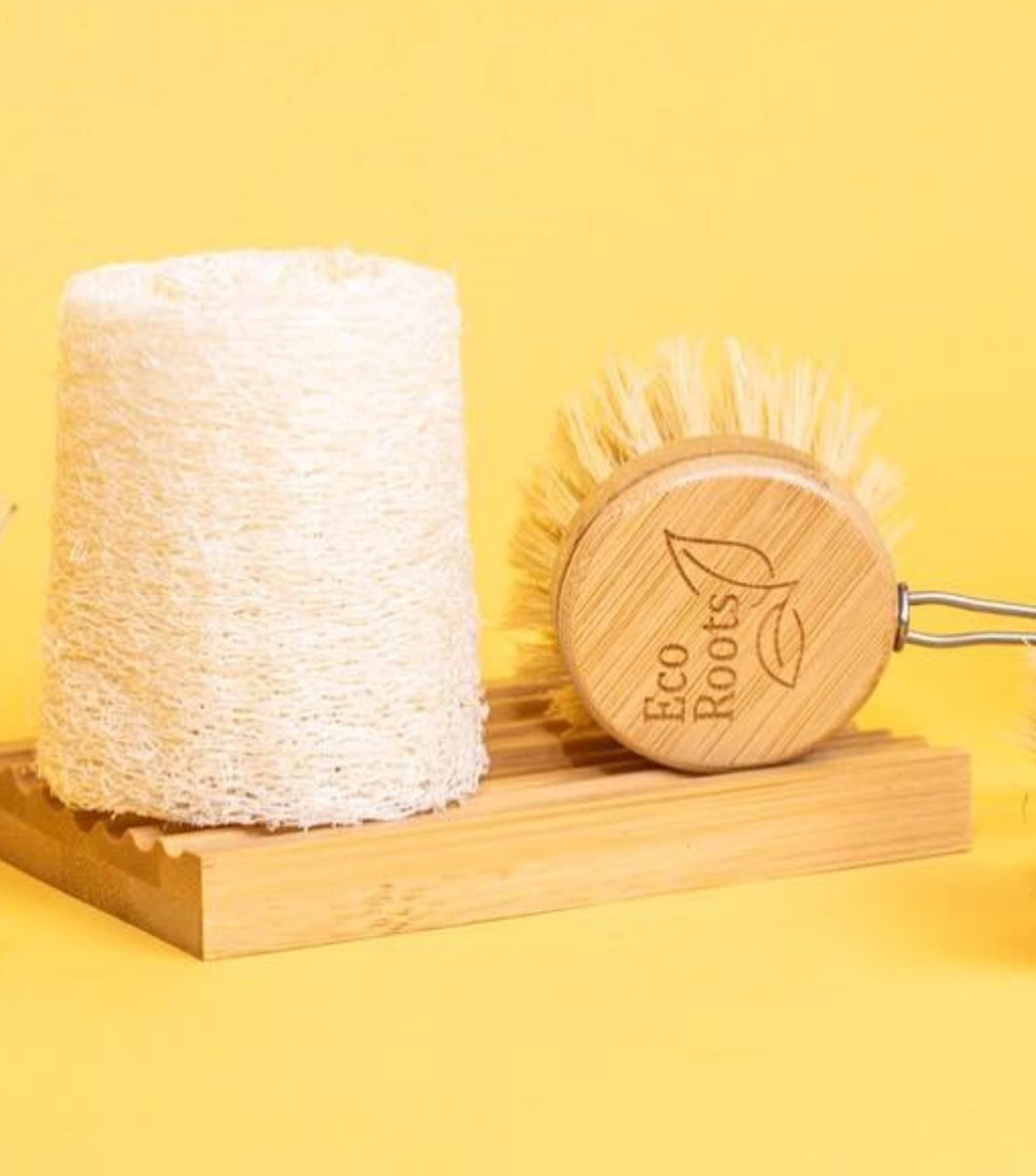 Image by EcoRoots (eco-friendly-loofahs) (2)