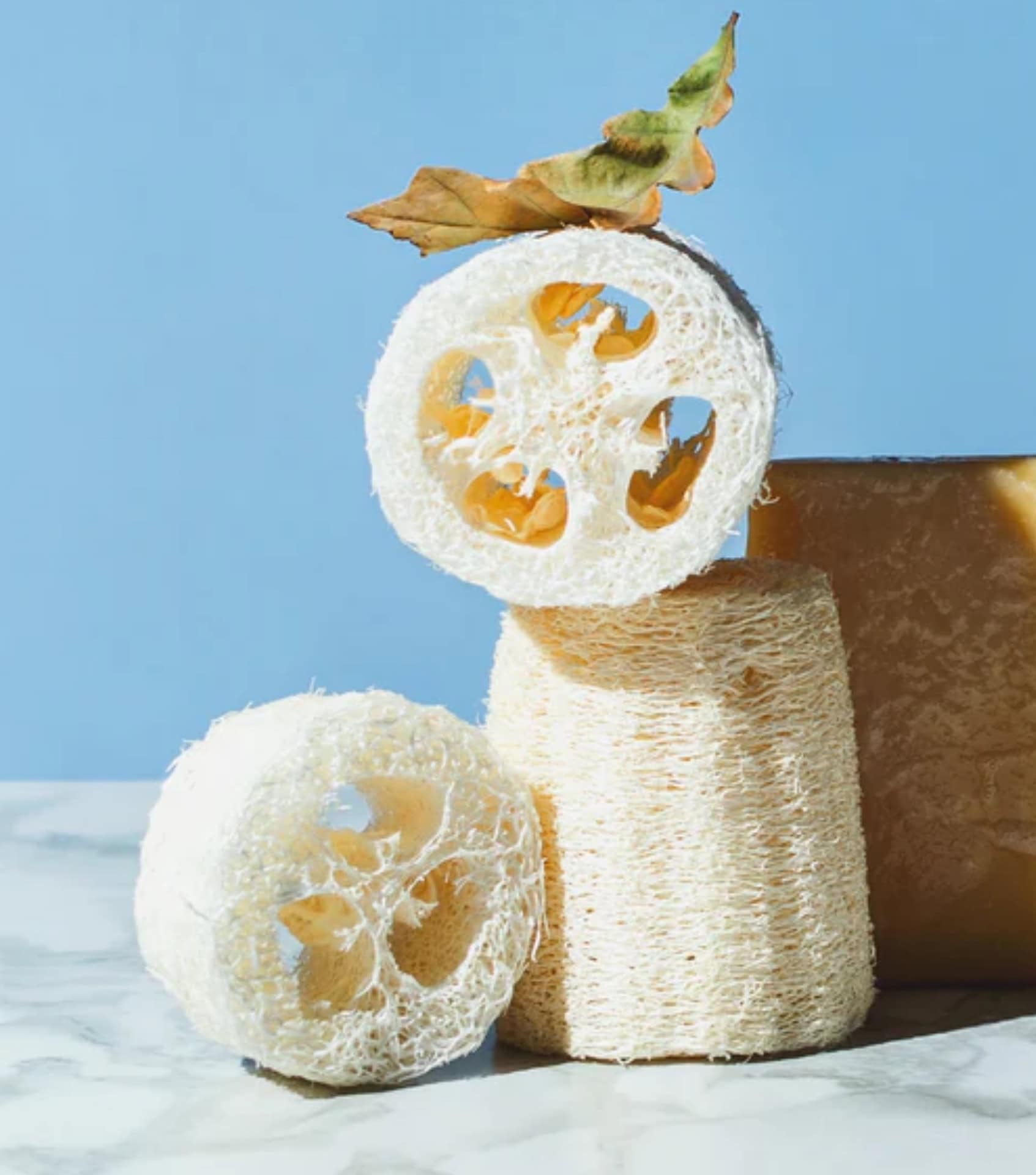 Image by EcoRoots (eco-friendly-loofahs)