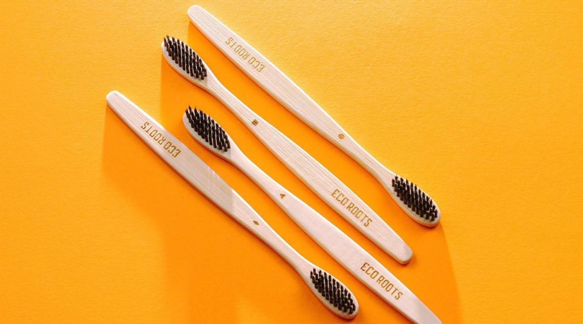 Image by EcoRoots (sustainable-dental-products)