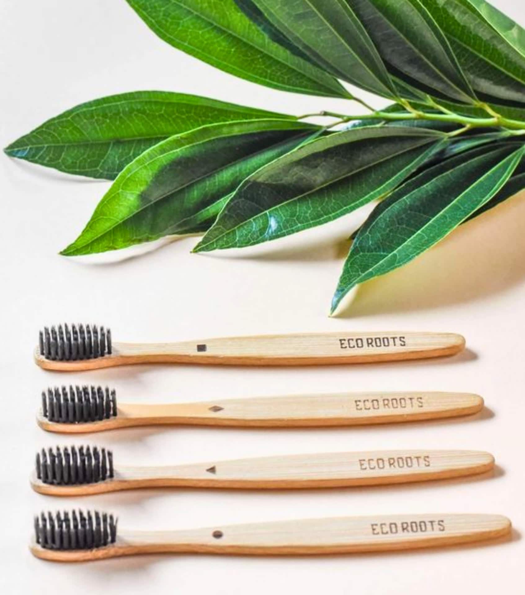 Image by EcoRoots (sustainable-toothbrushes)