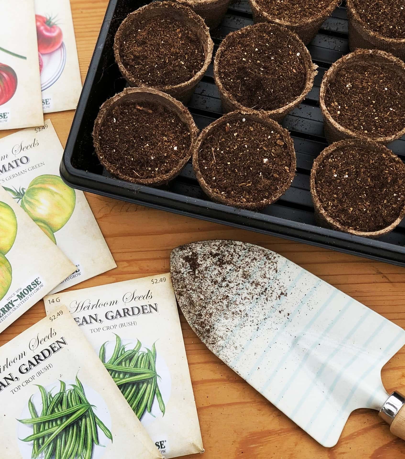Image by Ferry-Morse (sustainable-seed-company)