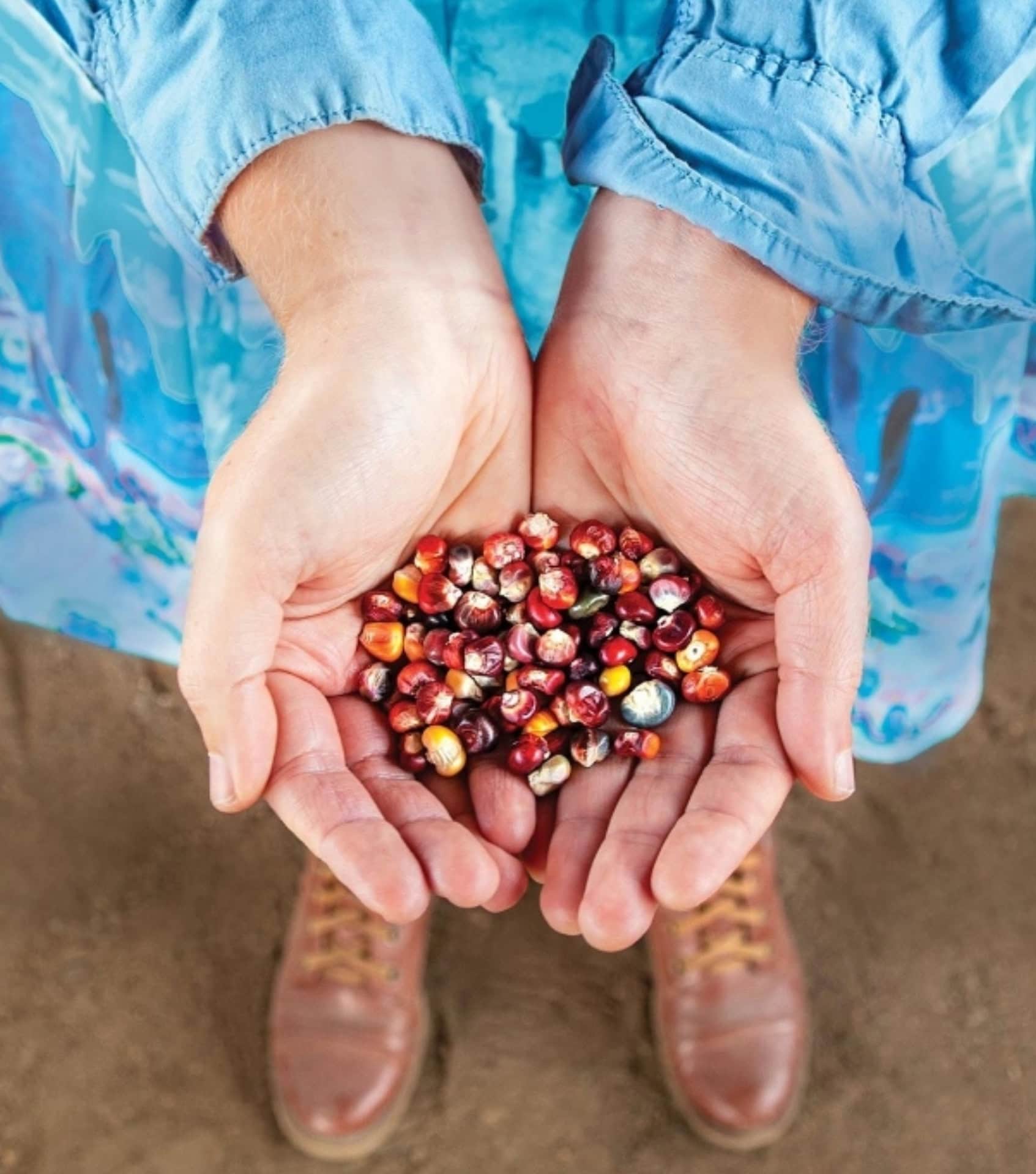 Image by High Mowing Organic Seeds (sustainable-seed-company) (2)