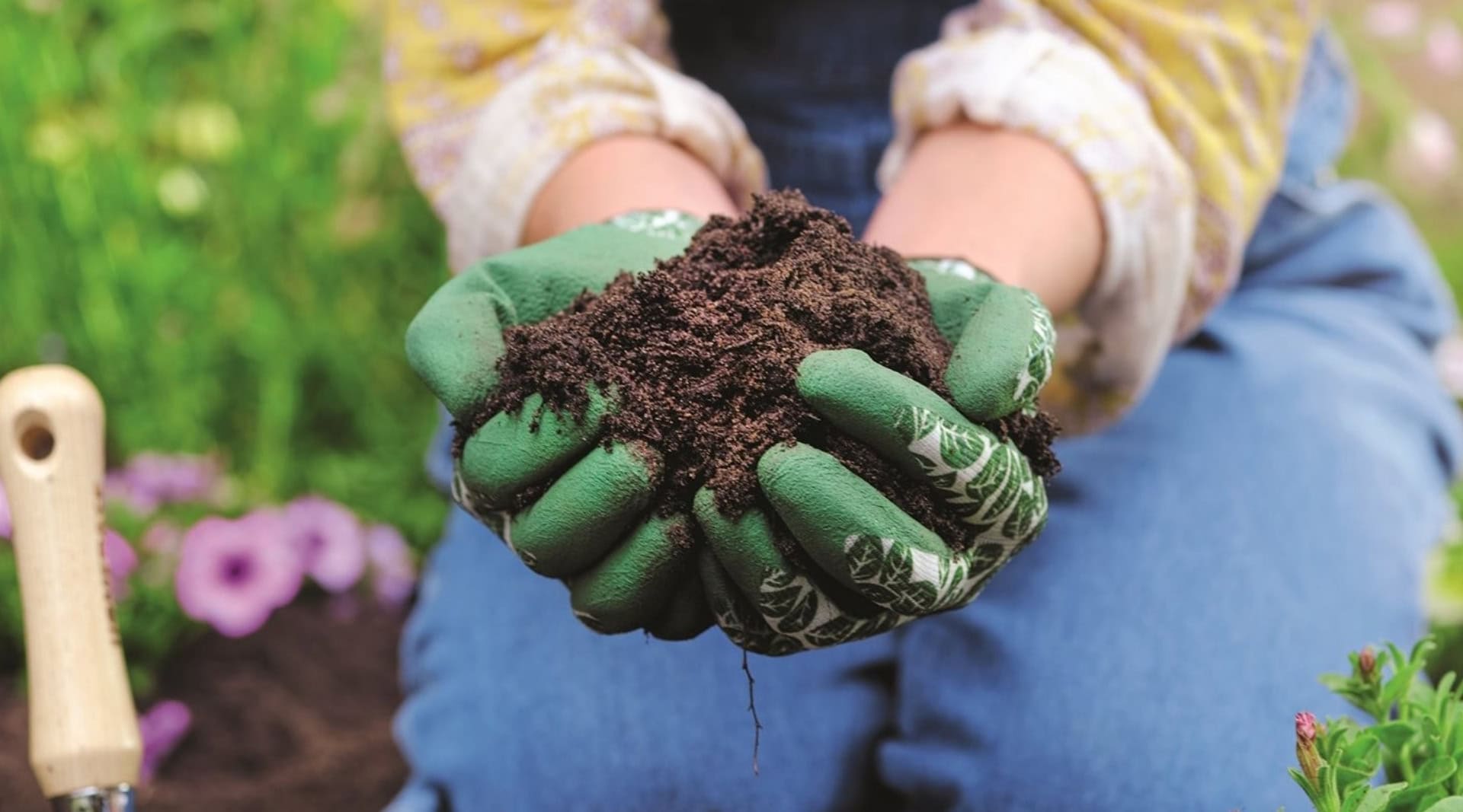 Image by Homebase (peat-free-compost)