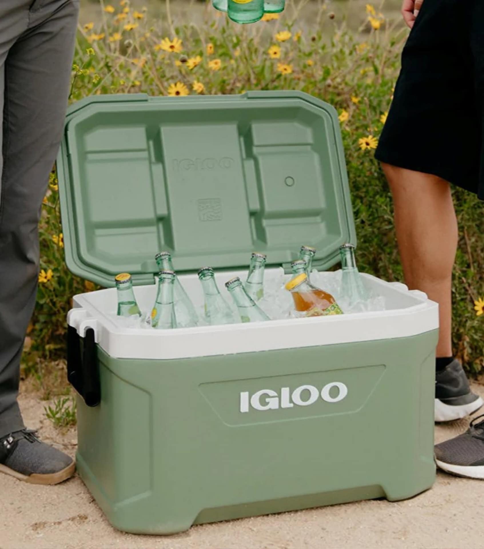 Image by Igloo (eco-friendly-camping-gear)