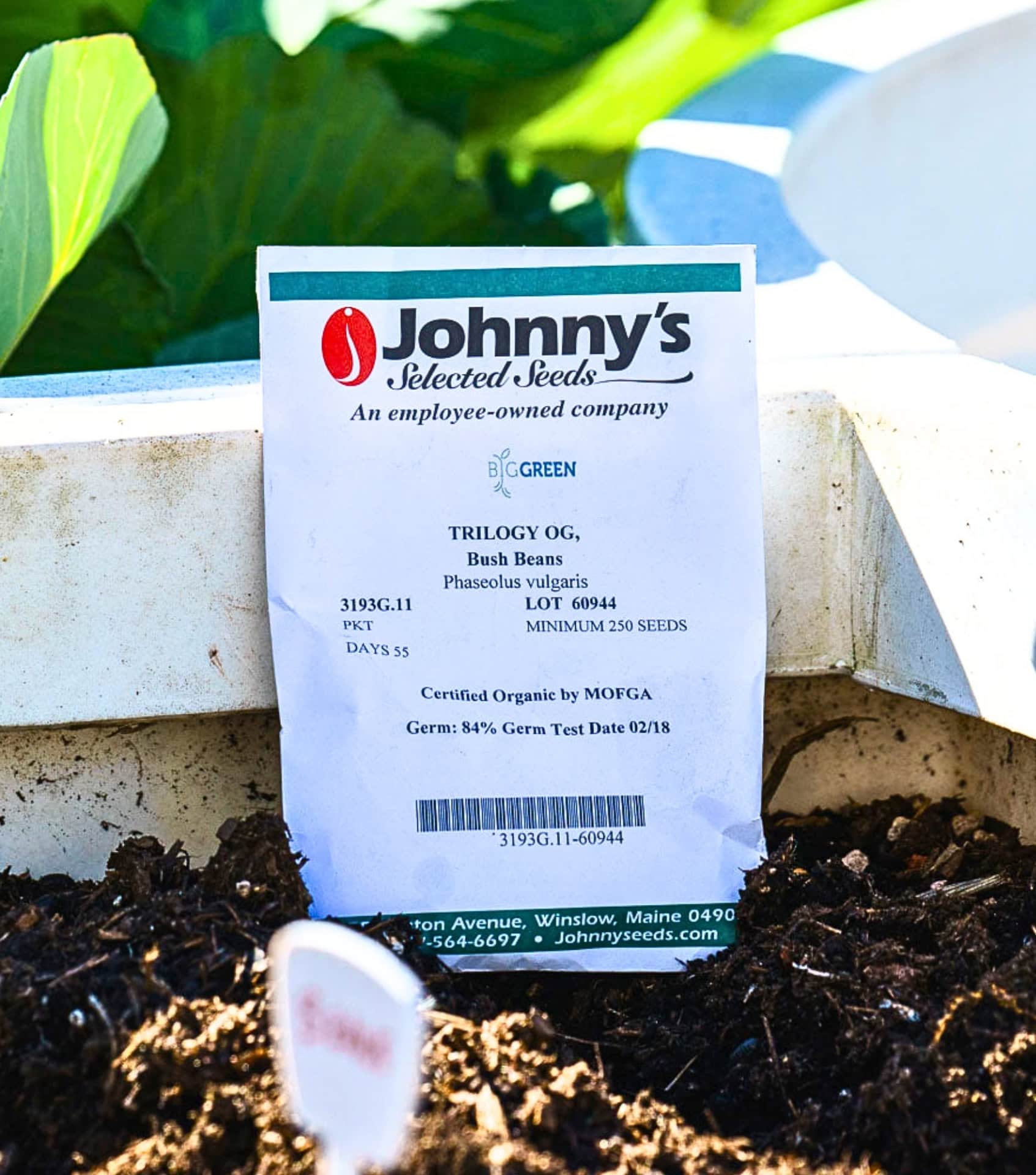 Image by Johnny’s Select Seeds (sustainable-seed-company)