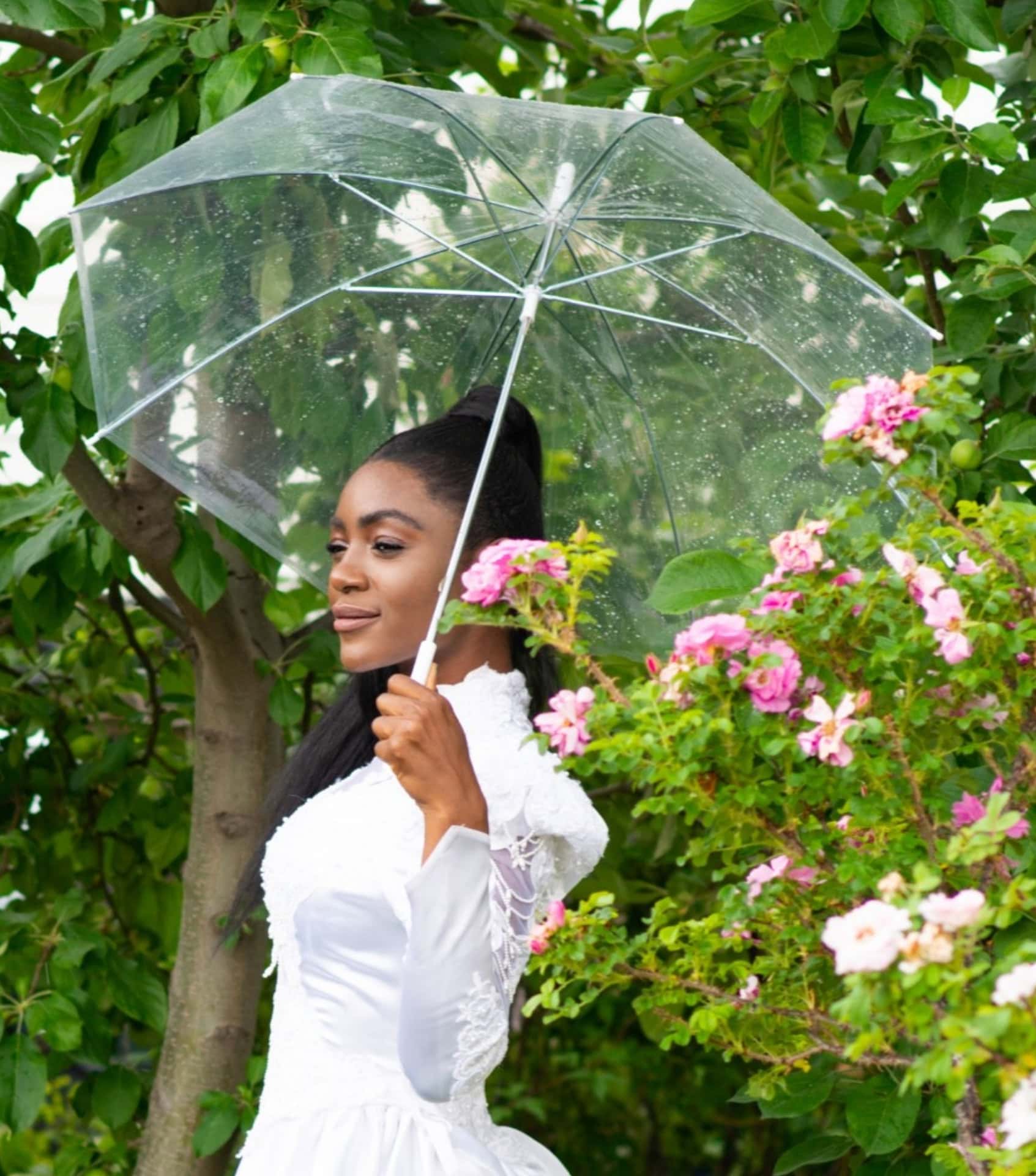 Image by Jollybrolly (eco-friendly-umbrellas) (2)