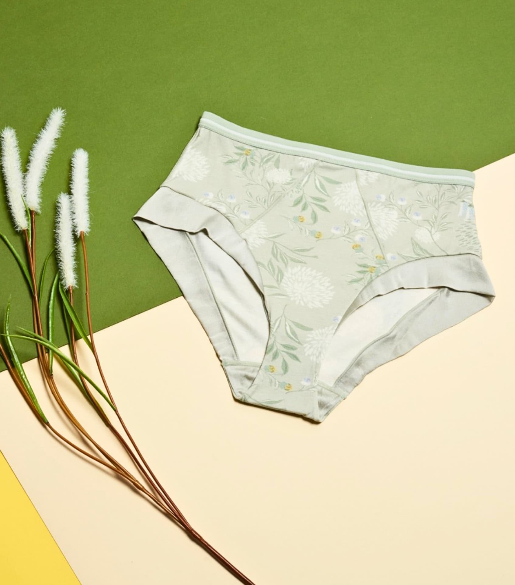 Image by JulieMay (organic-underwear) (2)