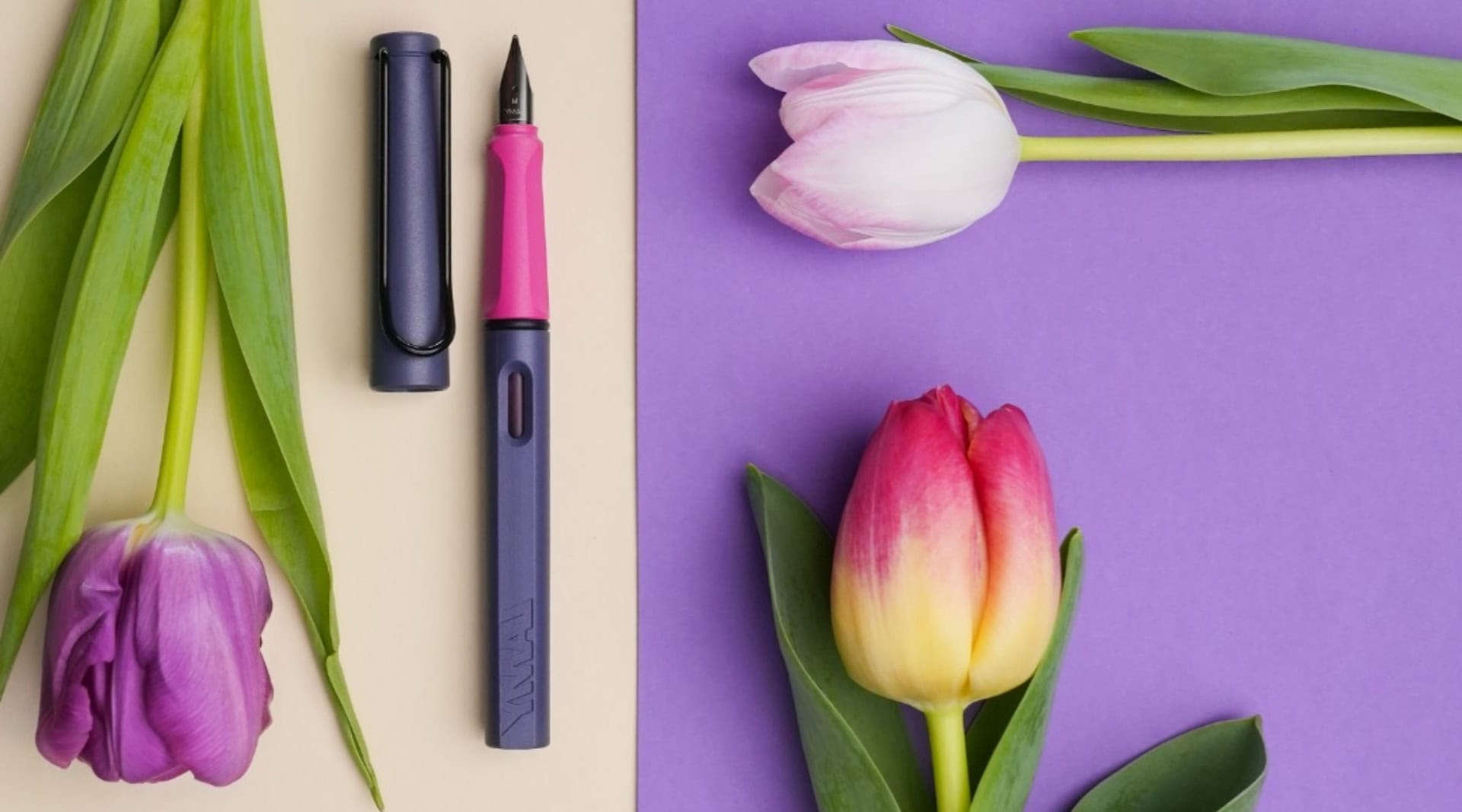 Image by Lamy (eco-friendly-pens)