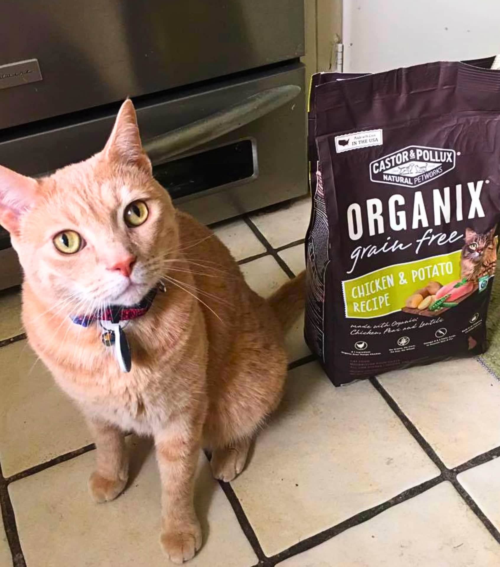 Image by ORGANIX (sustainable-cat-food) (2)