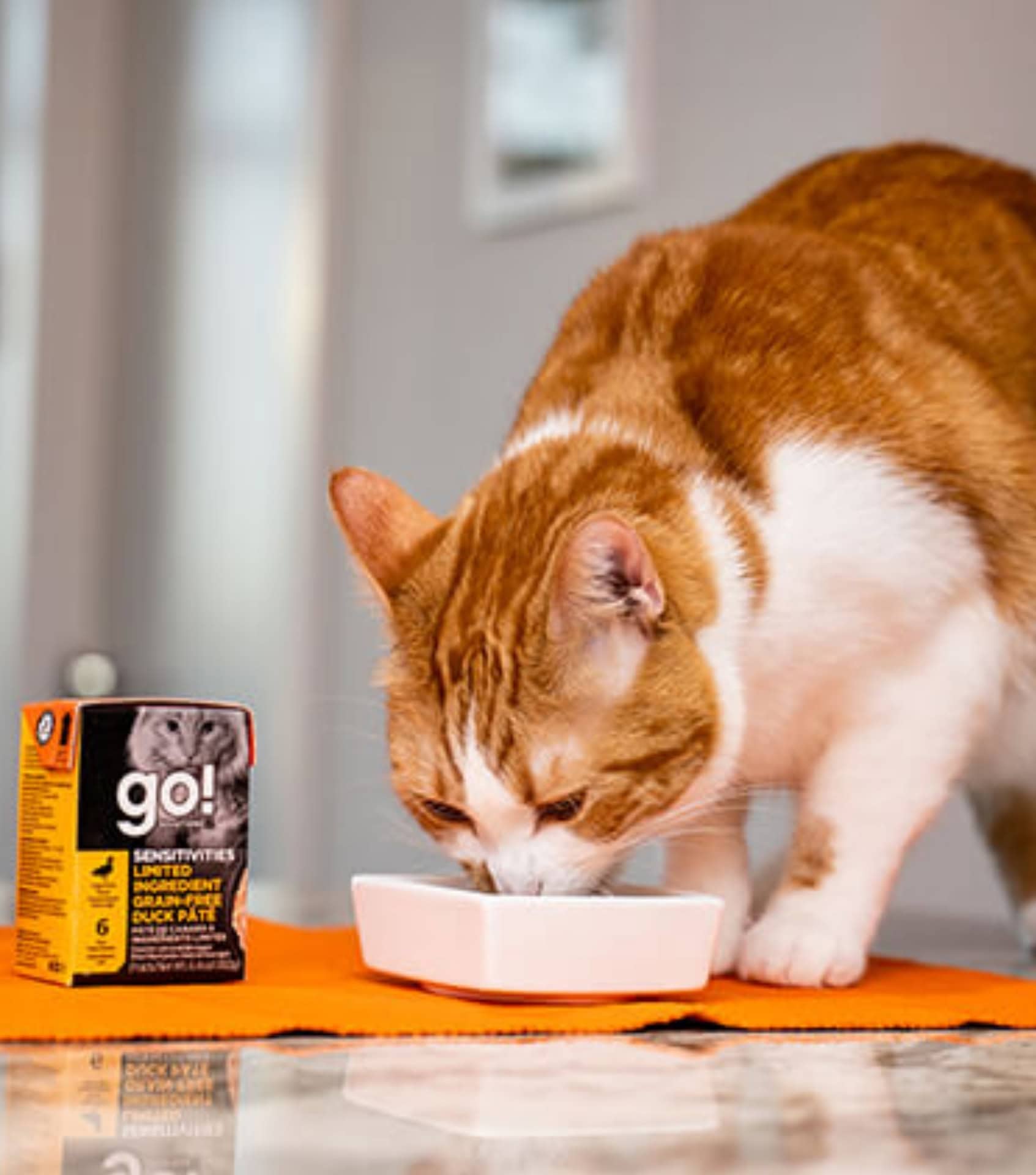Image by Petcurean (sustainable-cat-food) (2)