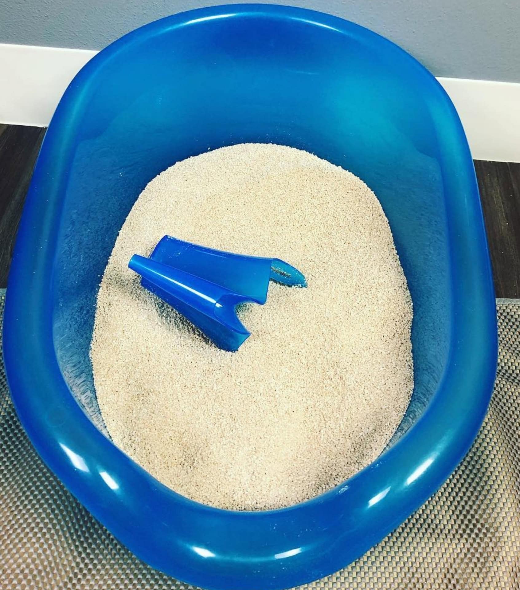 Image by Pioneer Pet Smartcat (eco-friendly-cat-litter) (2)