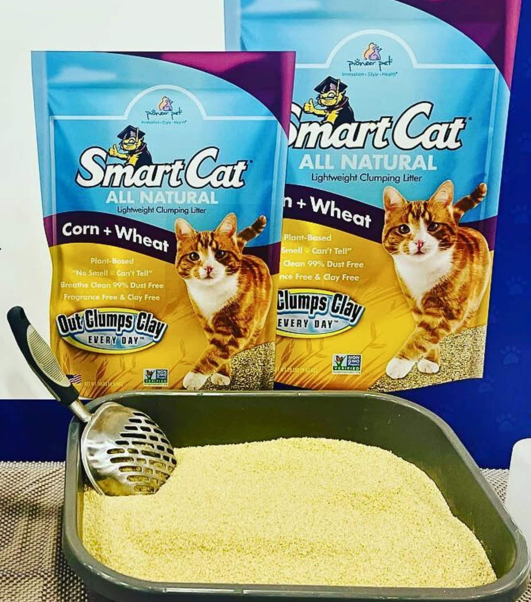 Image by Pioneer Pet Smartcat (eco-friendly-cat-litter)