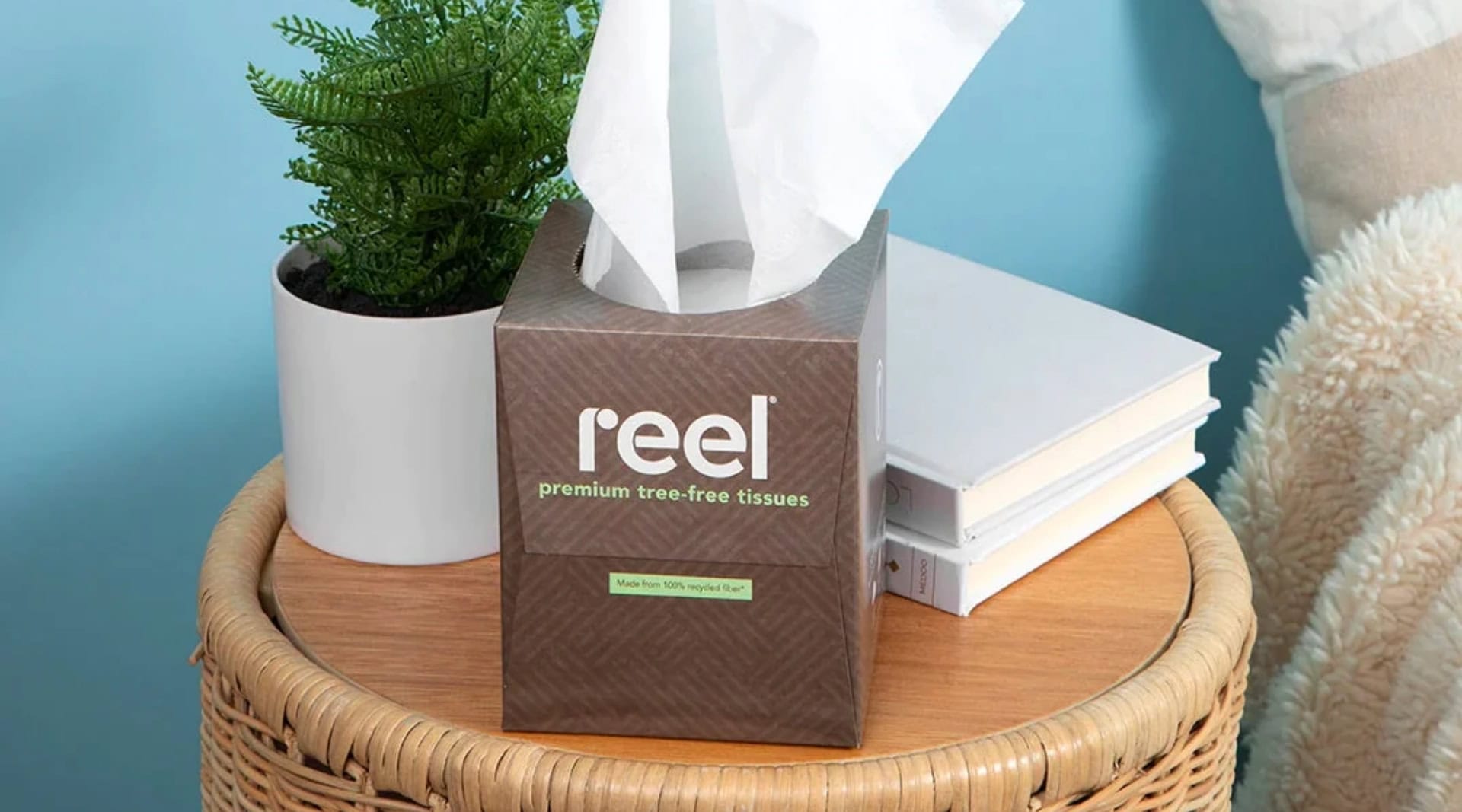 Image by Reel (eco-friendly-tissues)