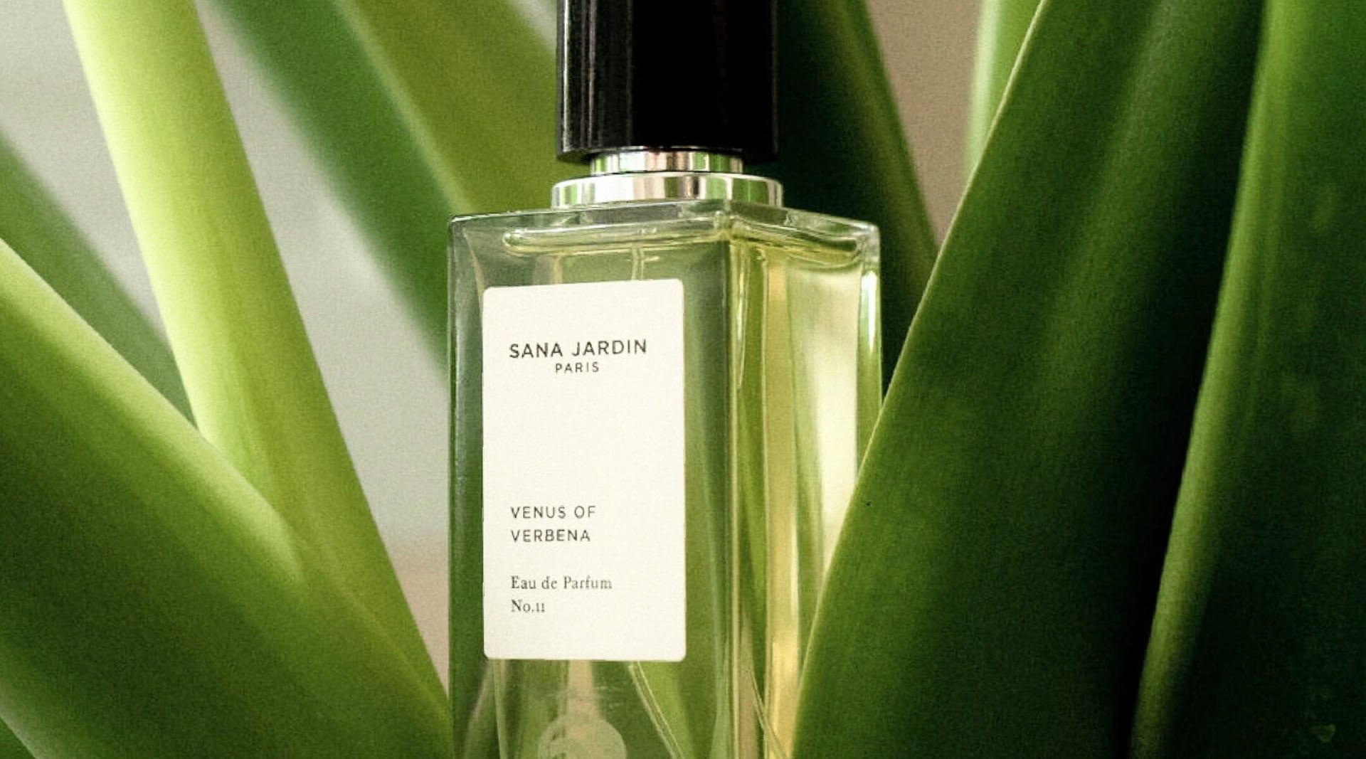 Image by Sana Jardin (natural-non-toxic-perfume)