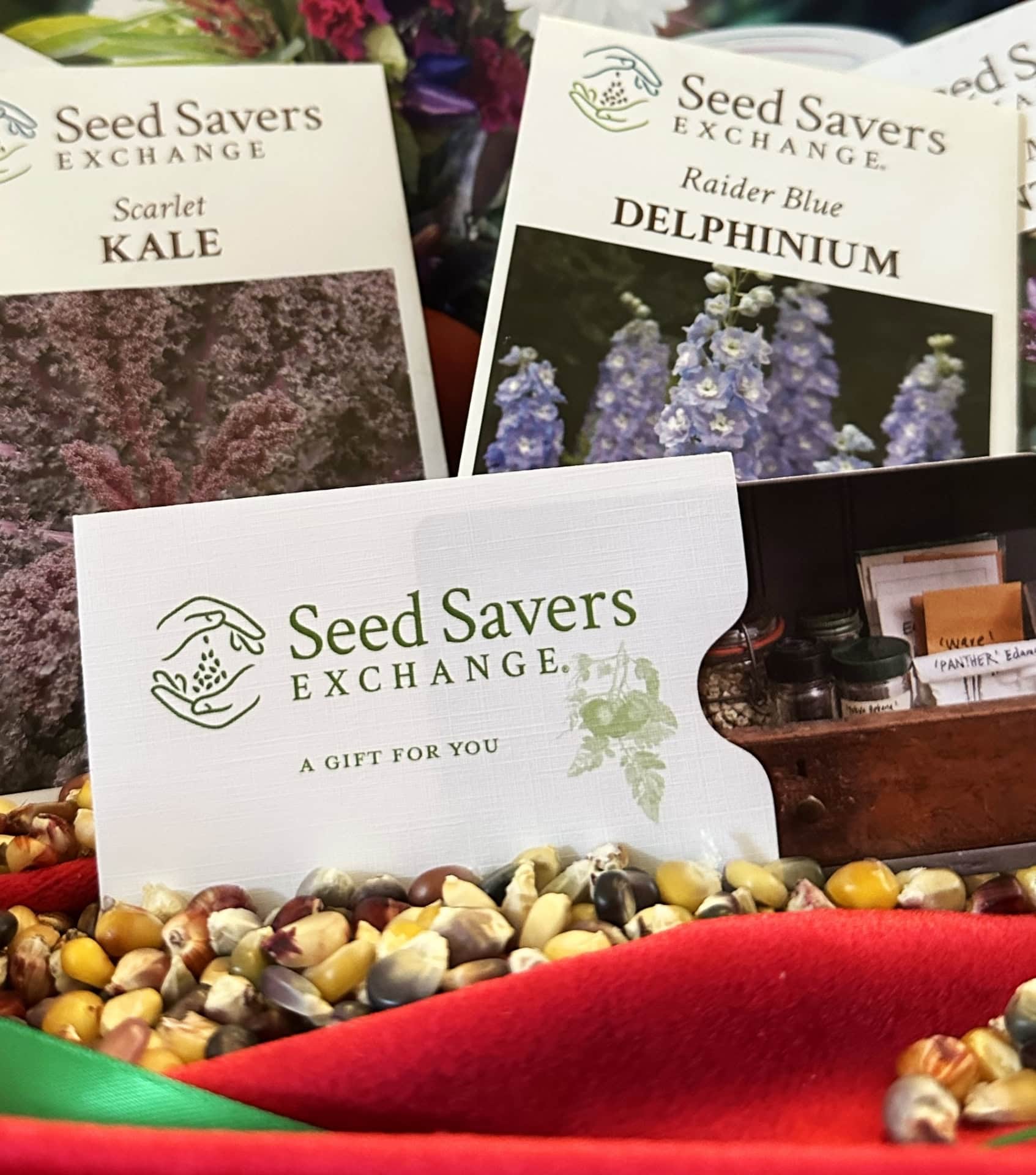 Image by Seed Savers Exchange (sustainable-seed-company) (2)
